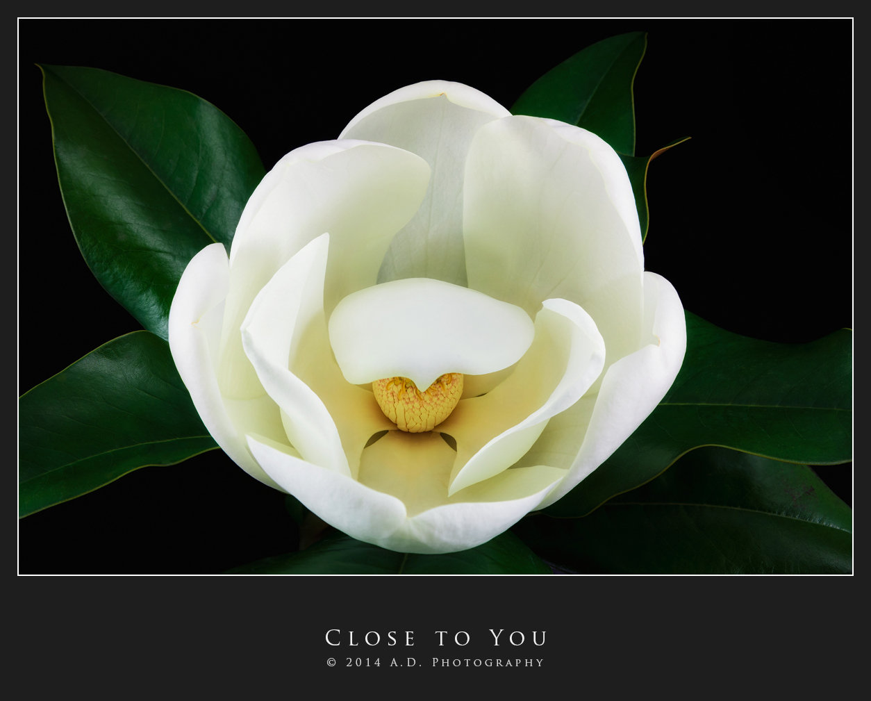 Close to You
