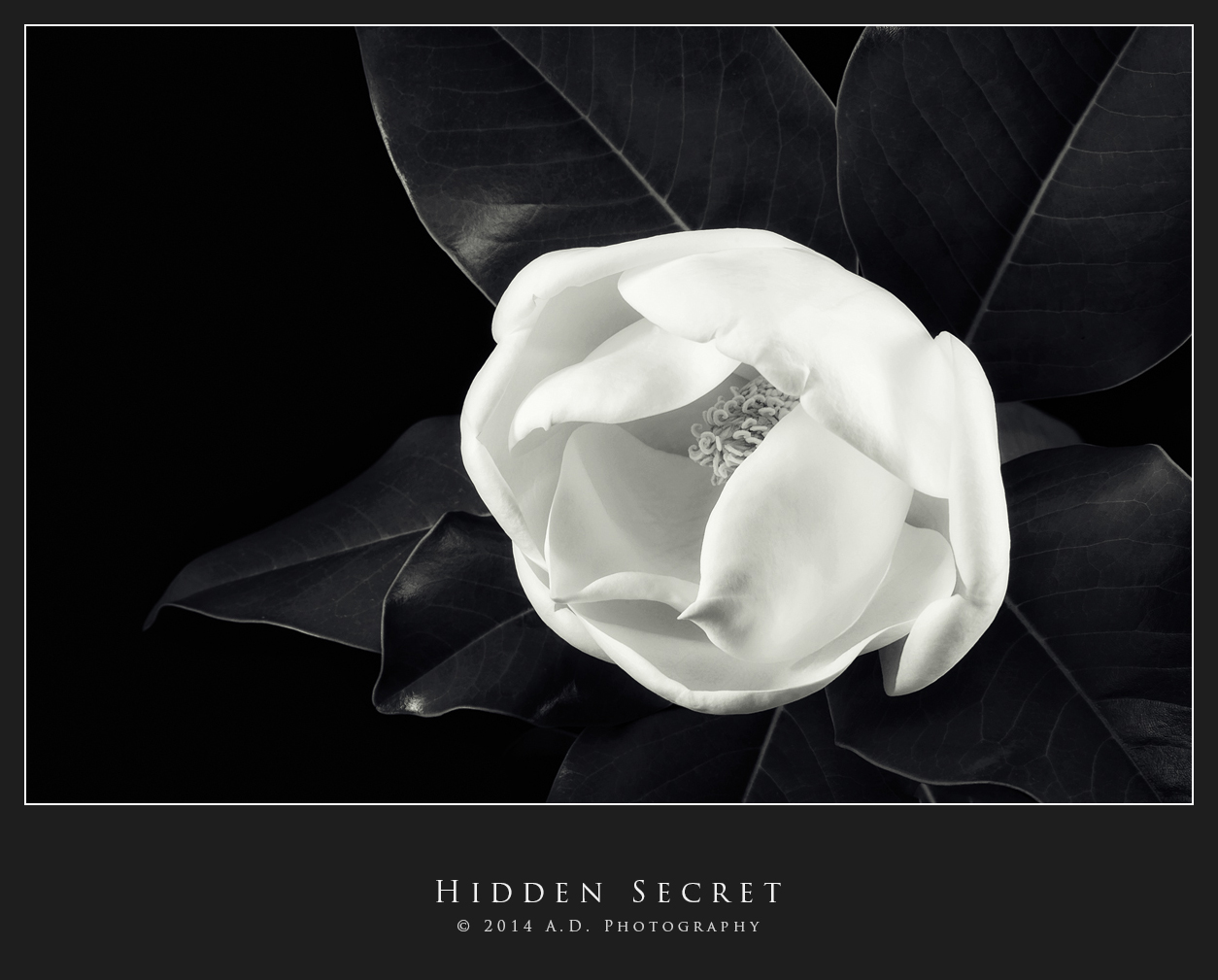 Hidden Secret