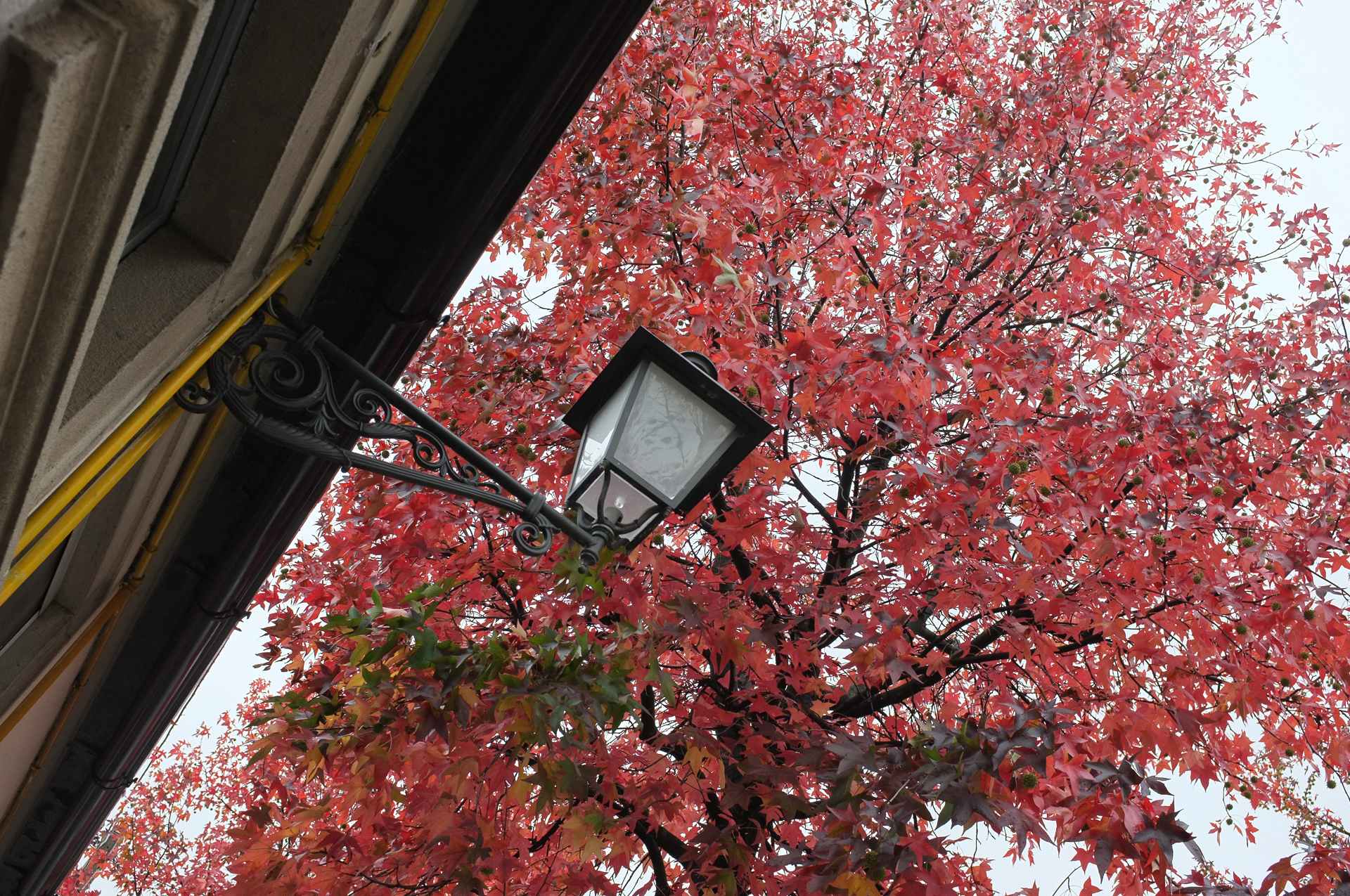 Prospettiva d'autunno