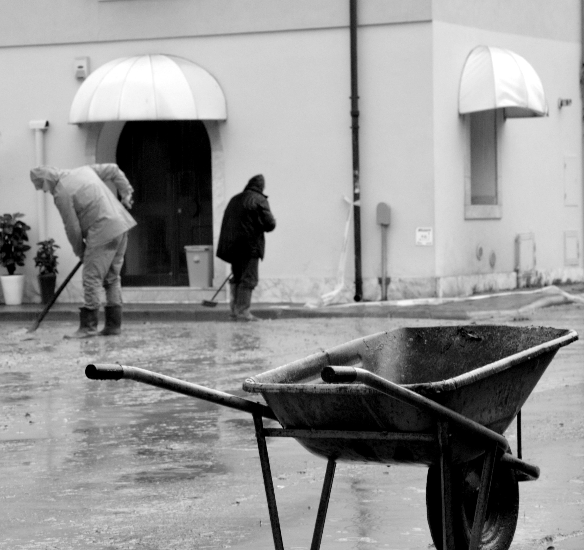 La Perseveranza (Alluvione Carrara)