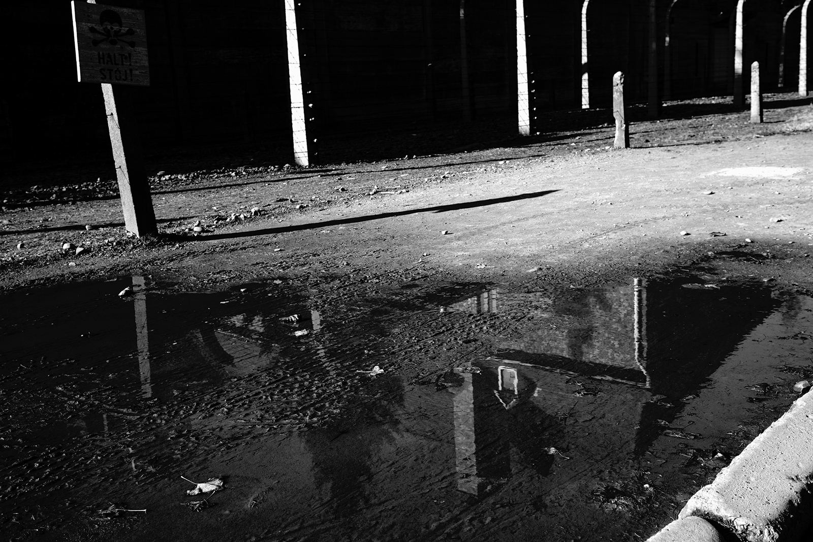 Riflessi e riflessioni