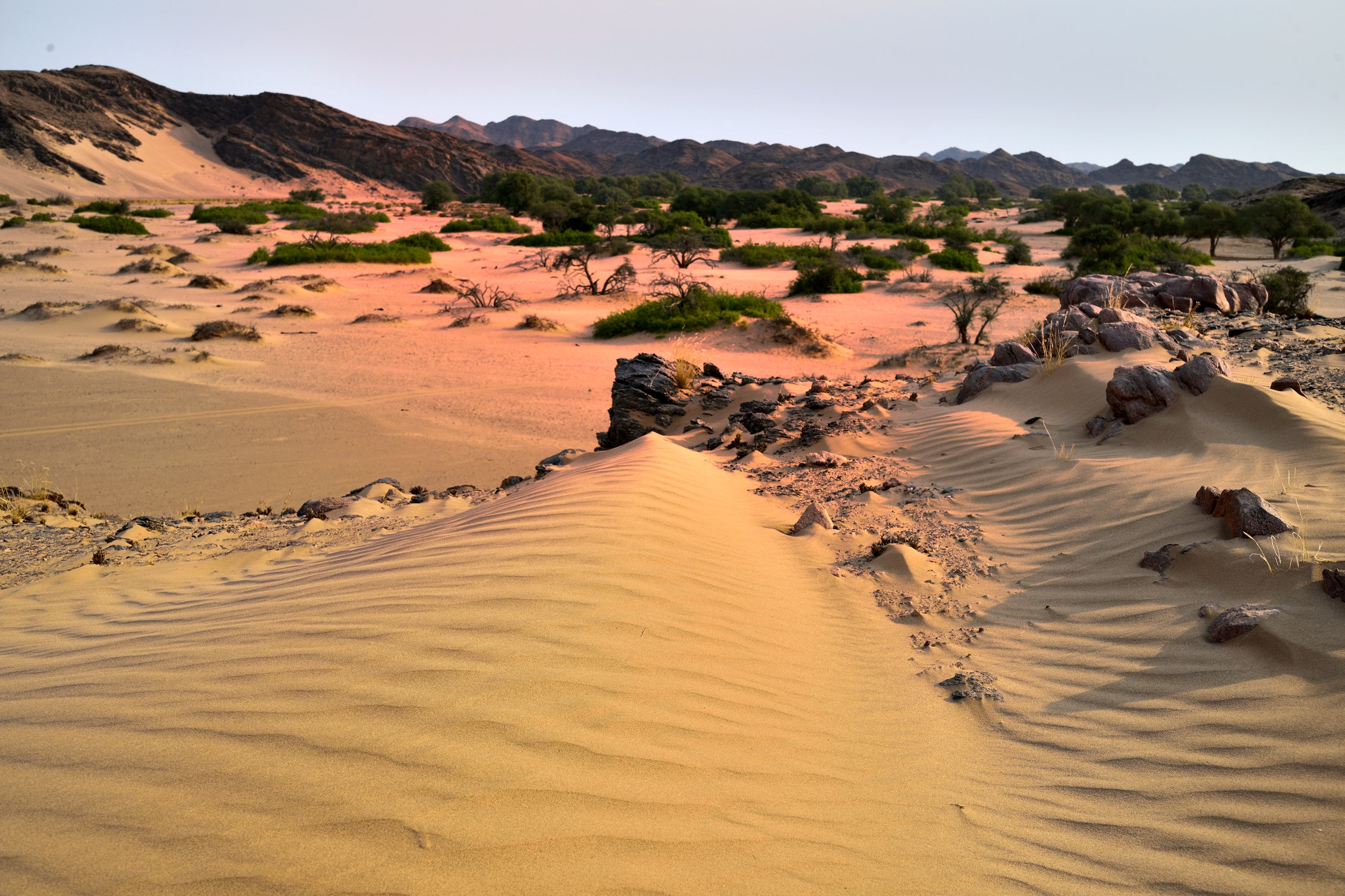 Deserto del Kaokoland
