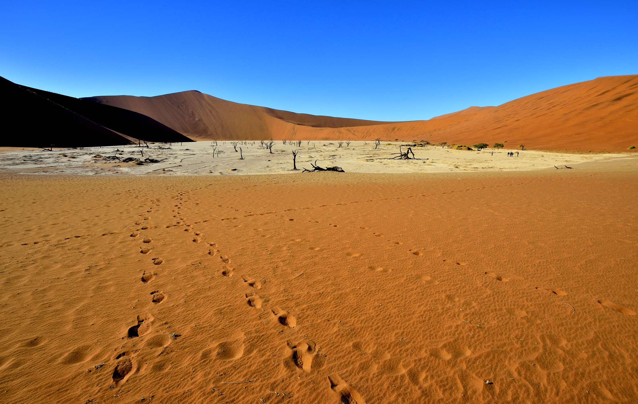 Deserto del Namib - Deadvlei