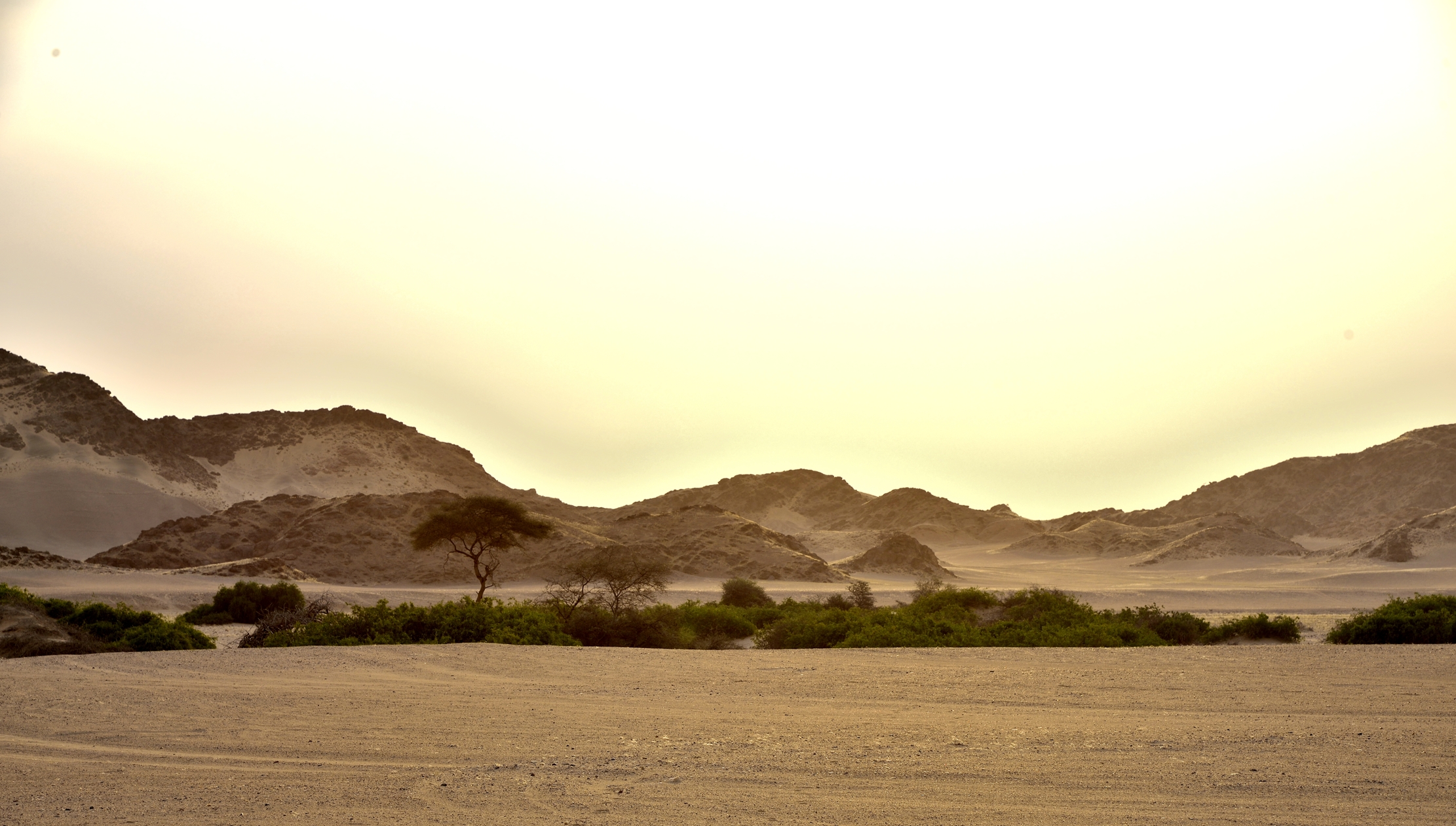 Deserto del Kaokoland