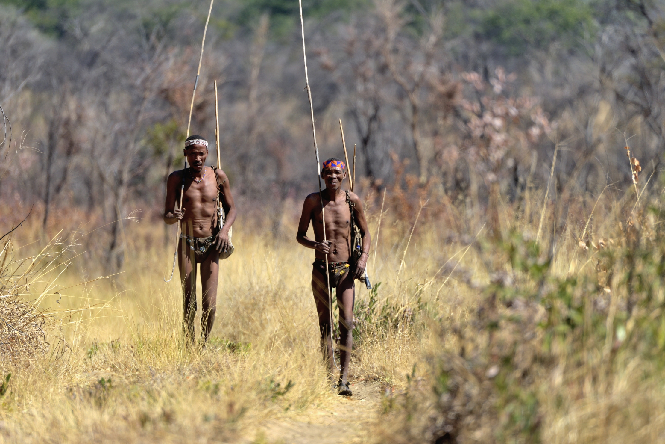 Bushmanland - Cacciatori boscimani