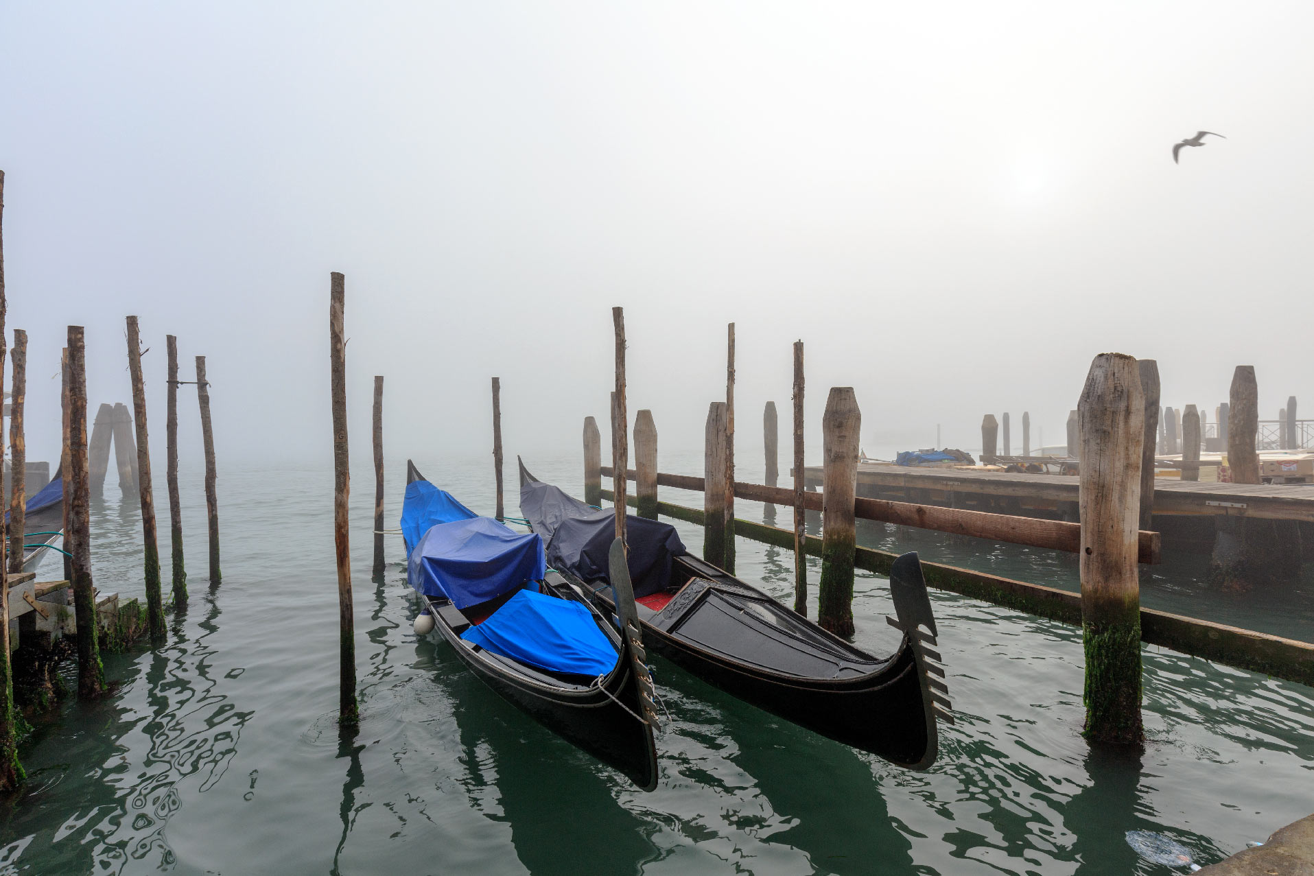 Gondolas and fog