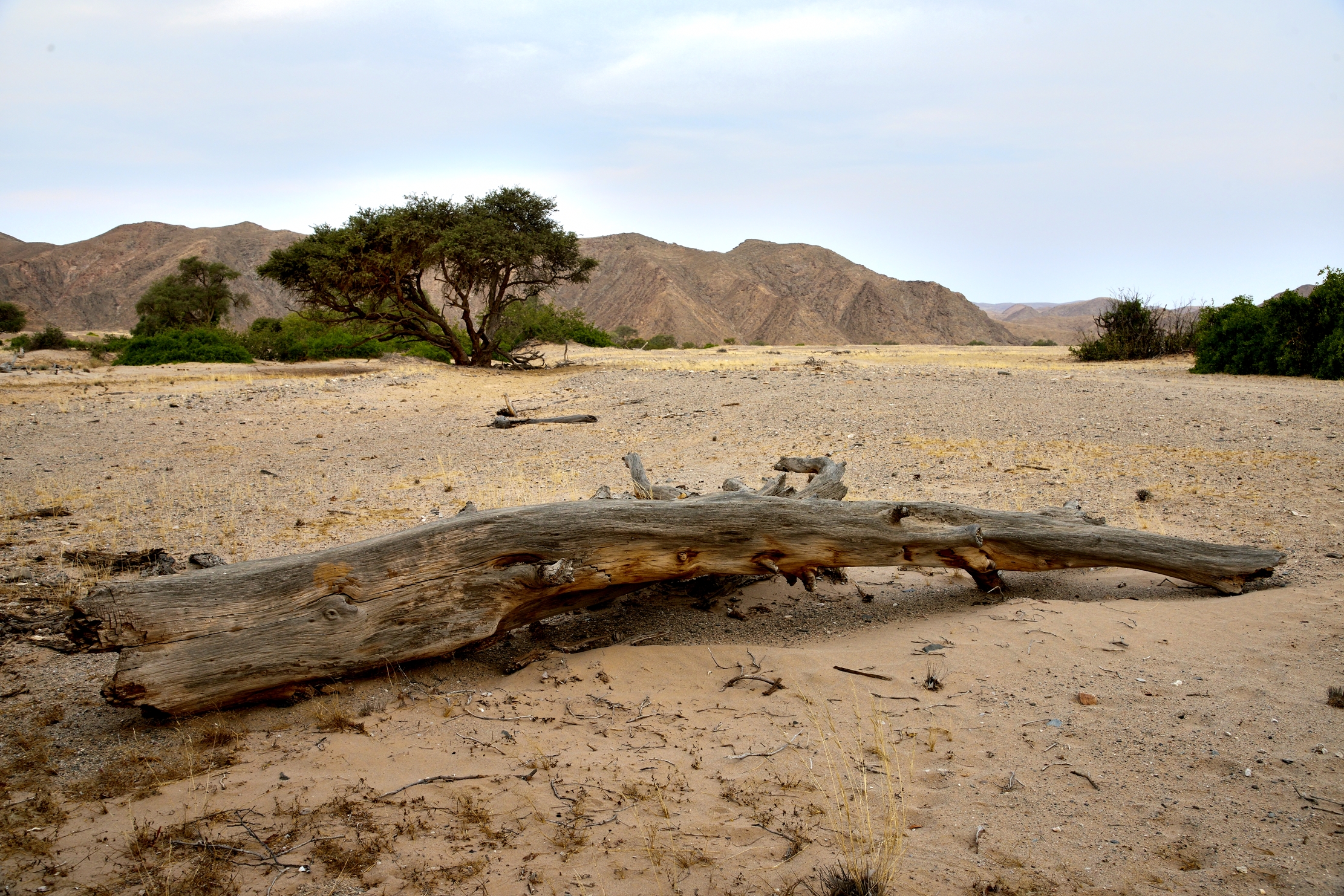 Deserto del Kaokoland