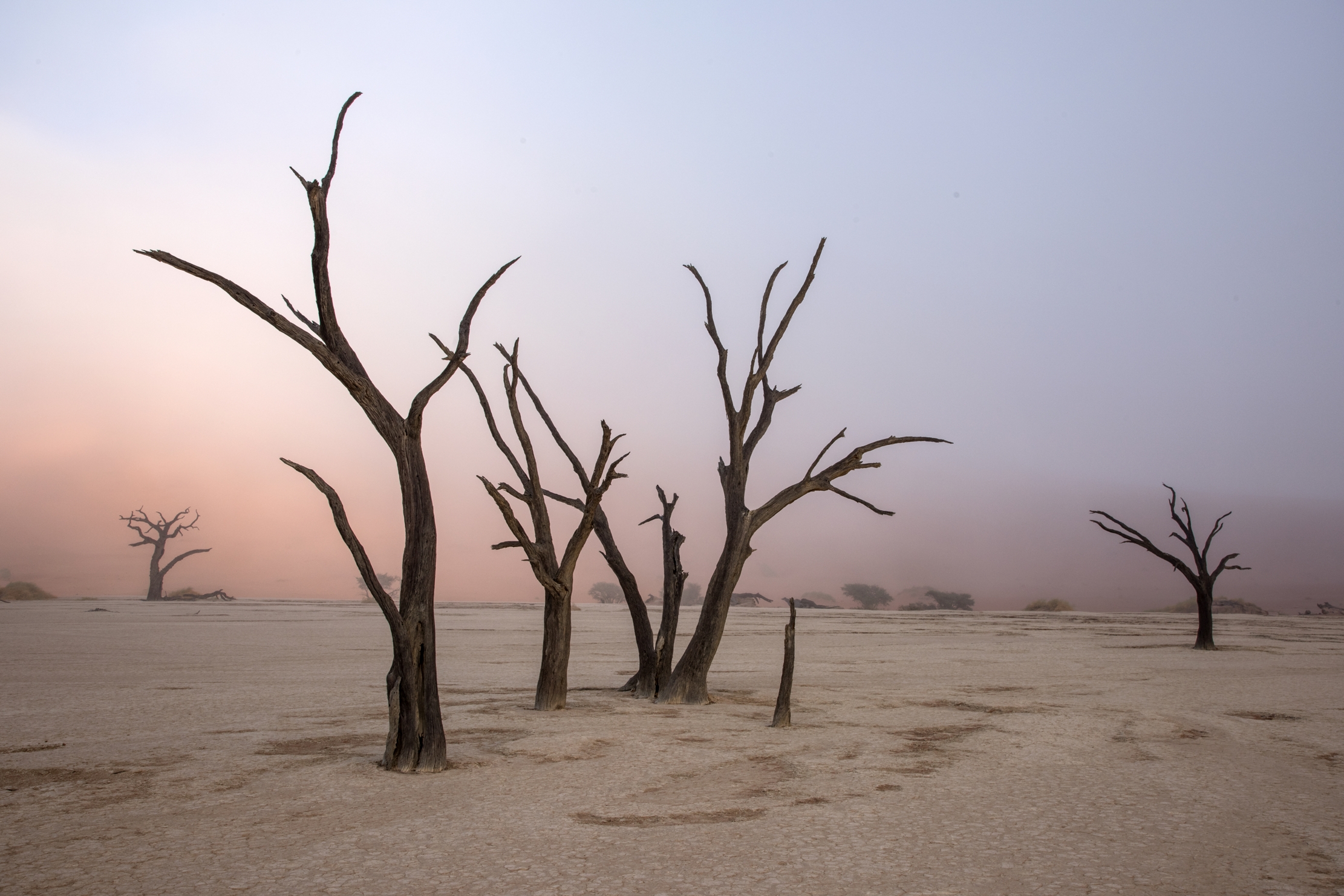 Deserto del Namib - Deadvlei