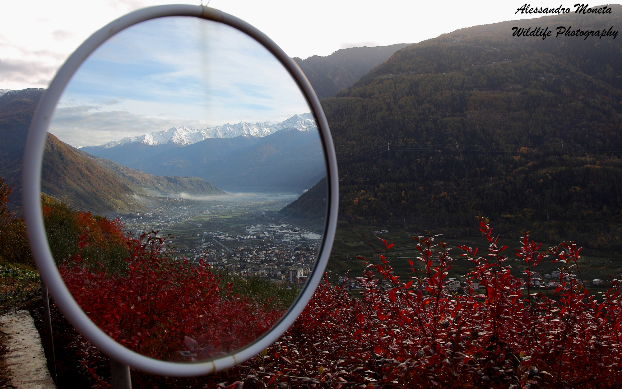 The Valtellina in the mirror
