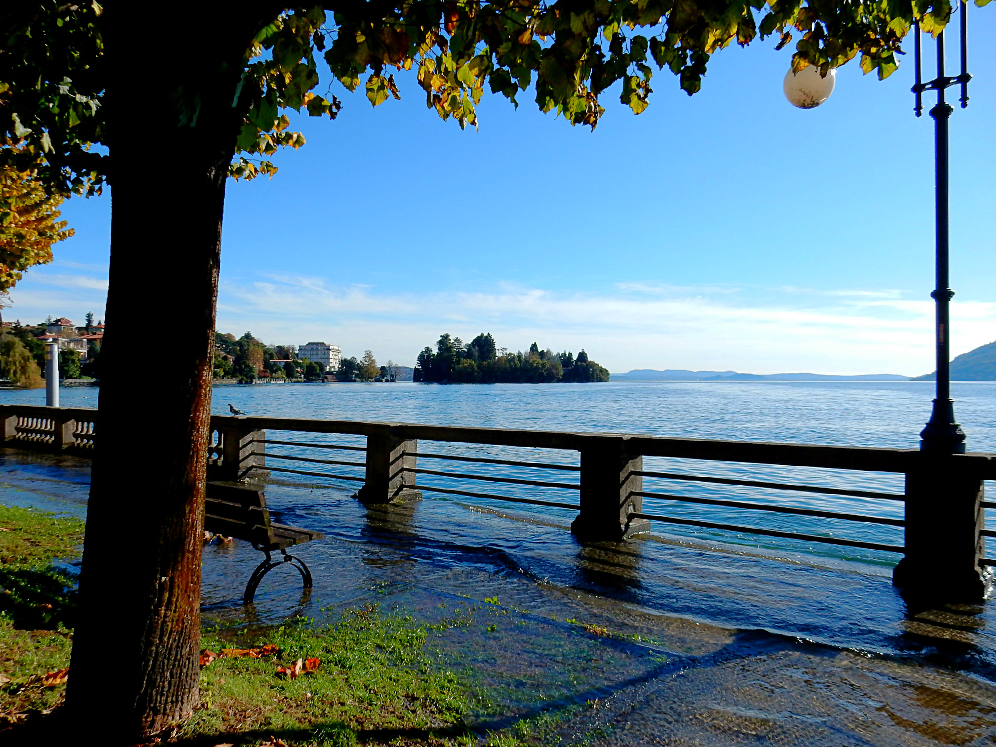 Walk along the lake ... with fins !!