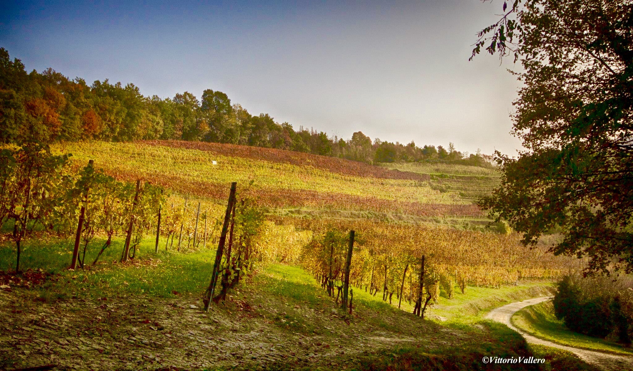 Monferrato colors  2