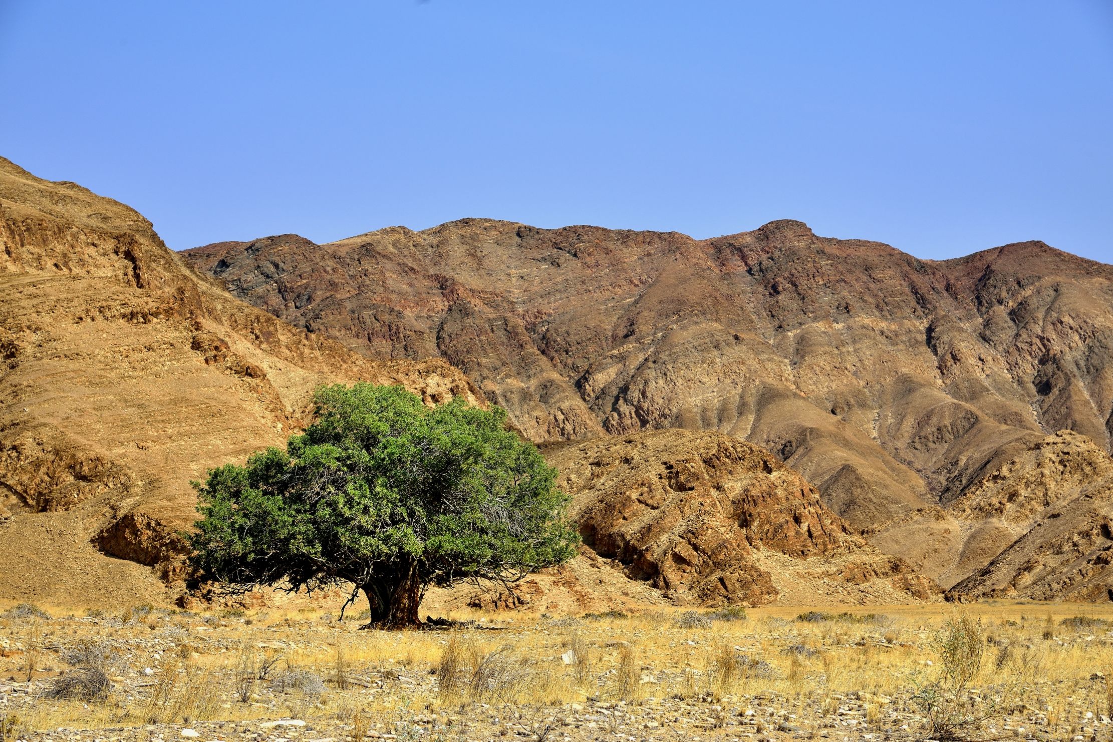 Deserto del Kaokoland