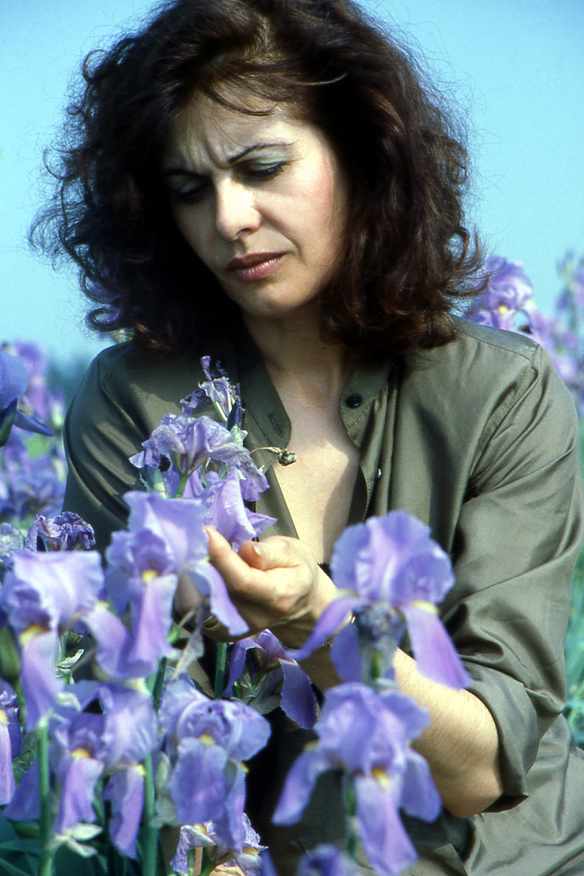 un fiore tra i fiori