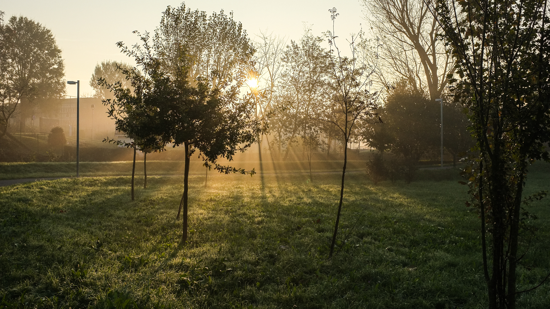 Alba sulla pista ciclabile