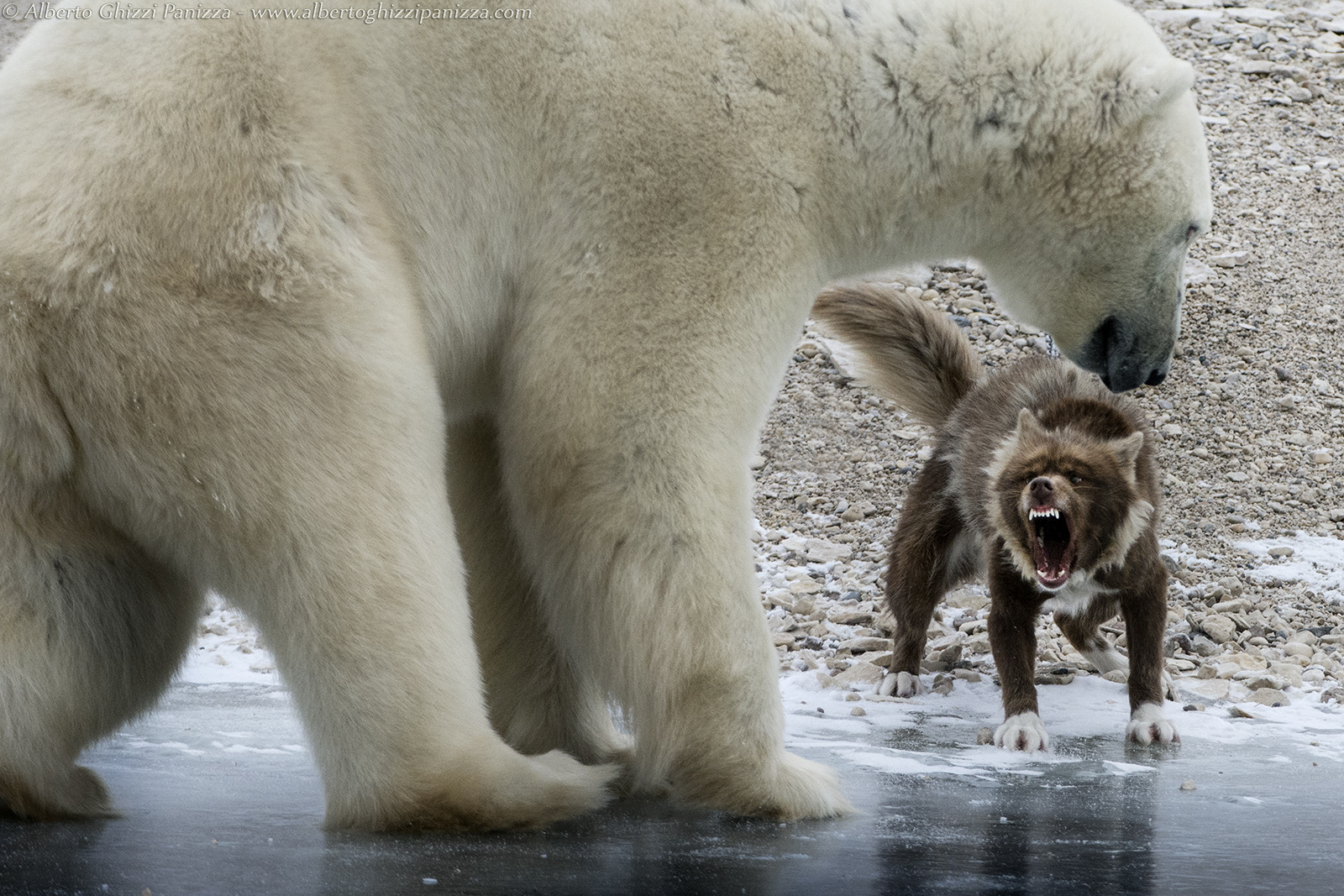 Courage is my duty - another shot