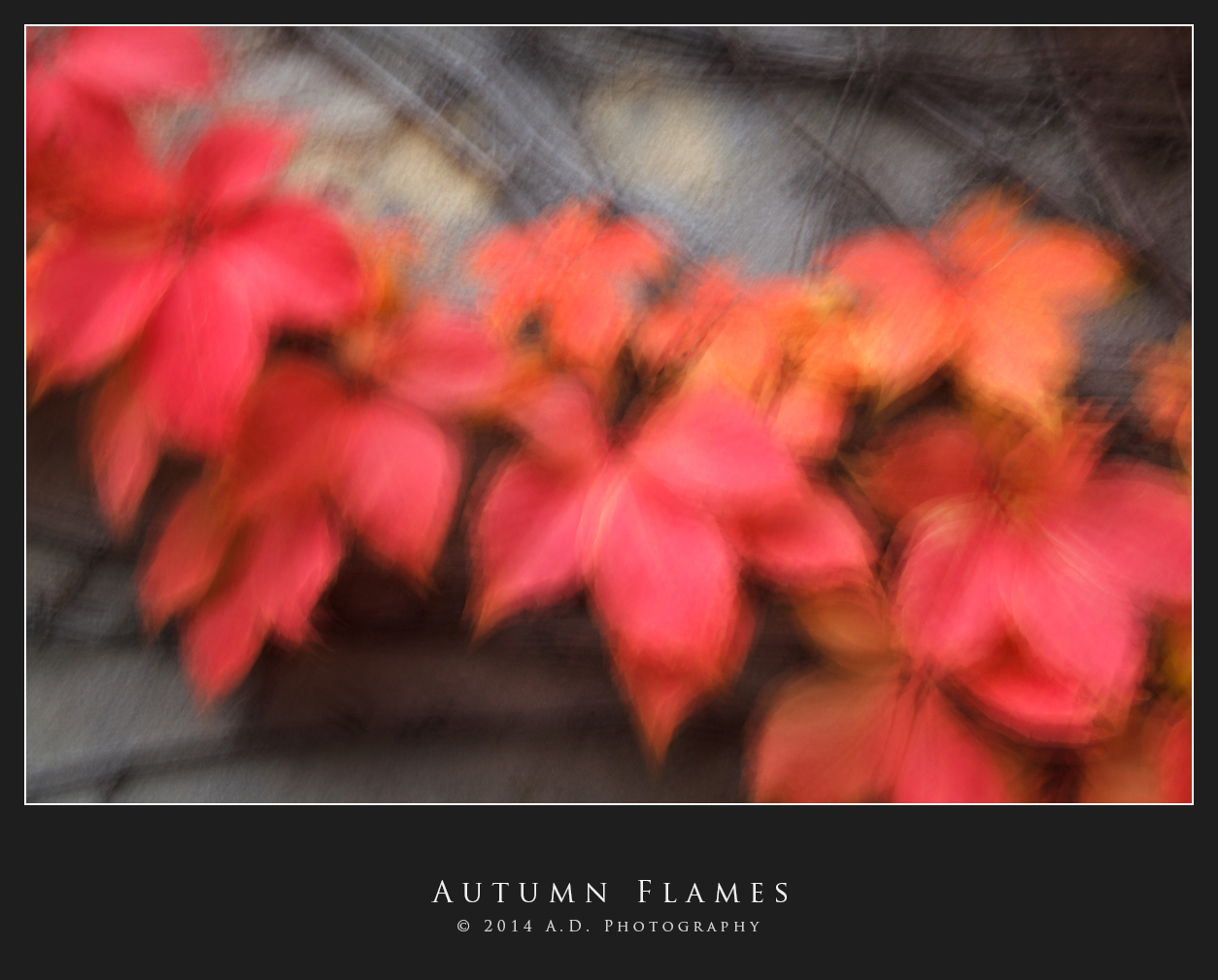 Autumn Flames