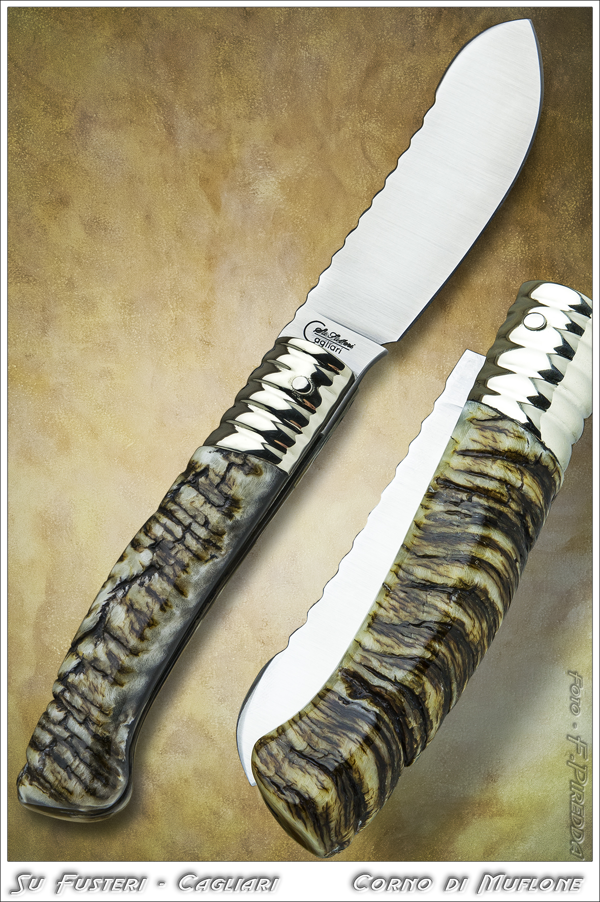 Semi-skinned in mouflon