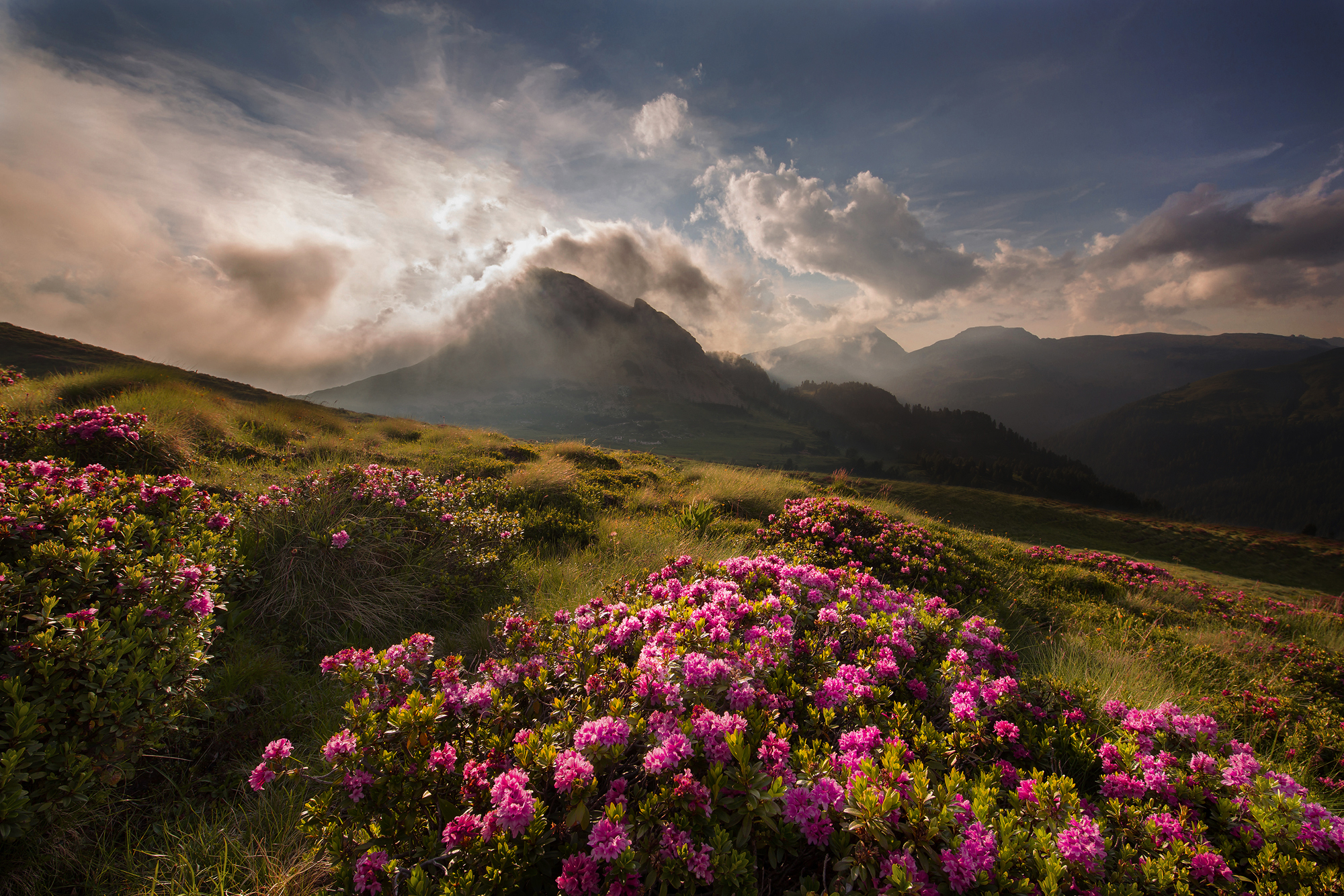 Sistuccio/Commissario 71