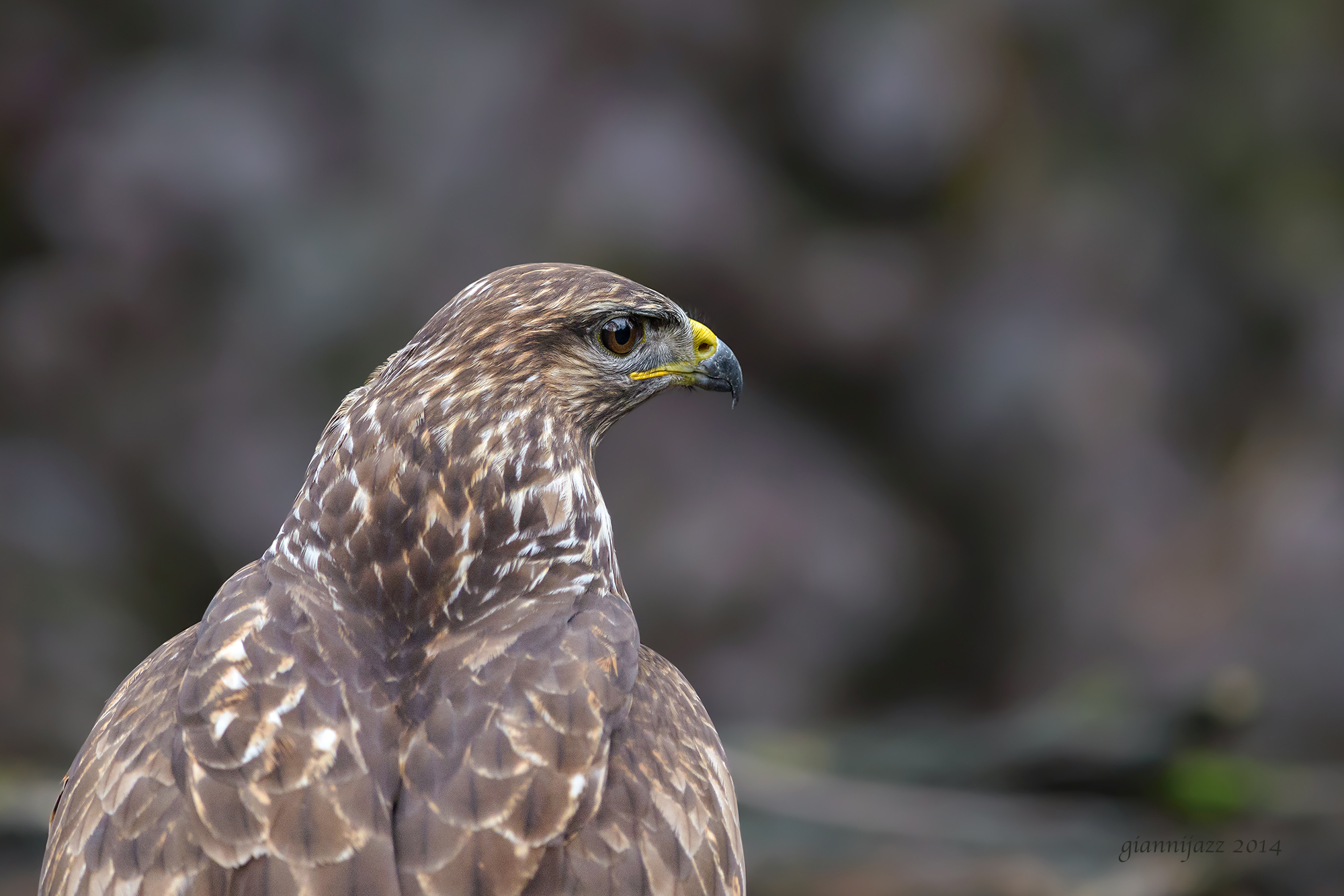 incontro ravvicinato