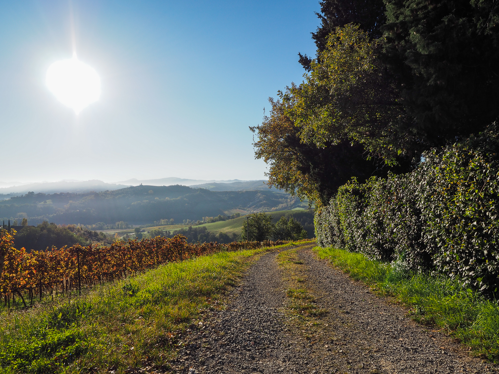Castello Serravalle paesaggio 3 Pignoletto