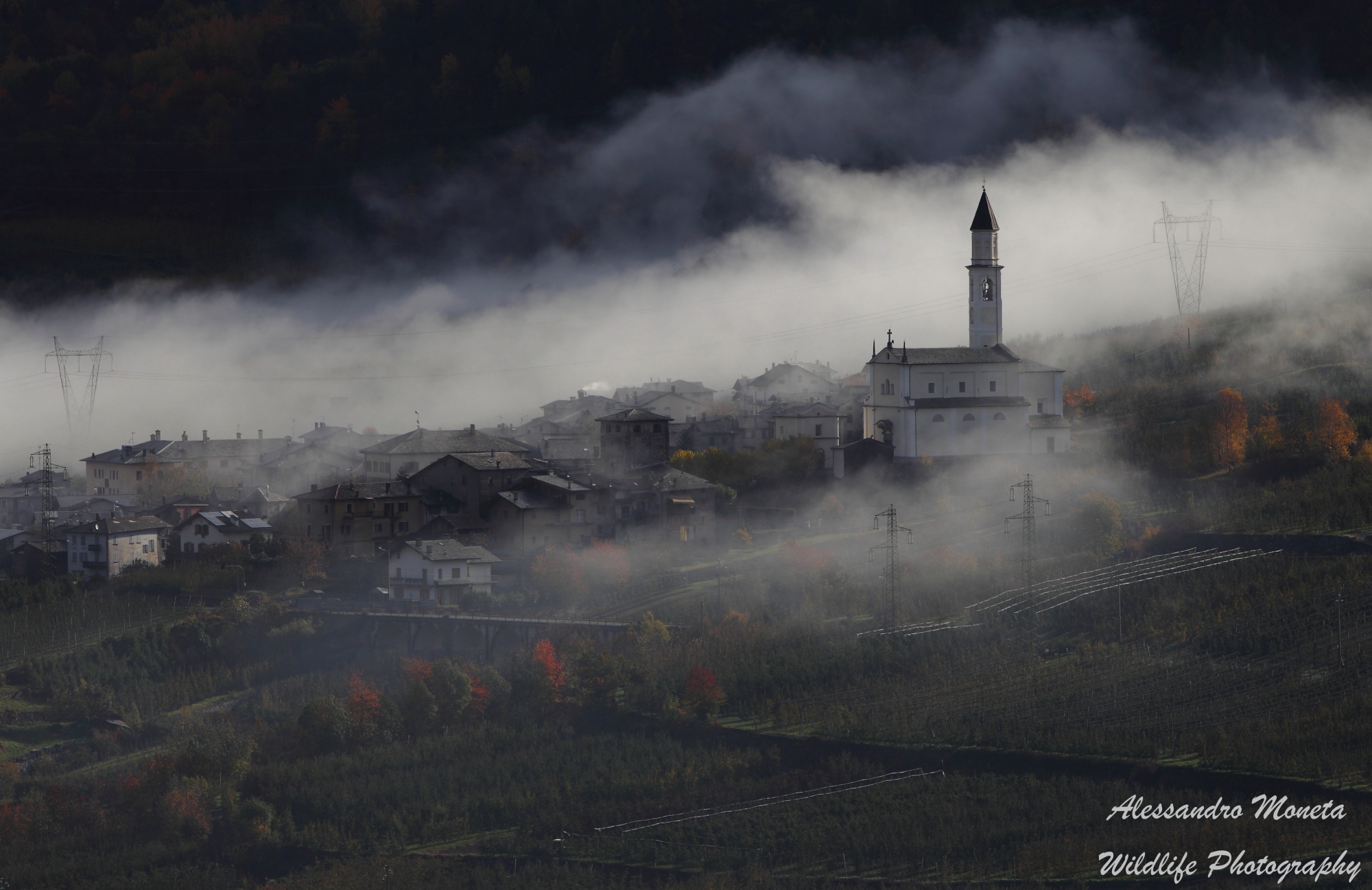 Avvolta dalla nebbia