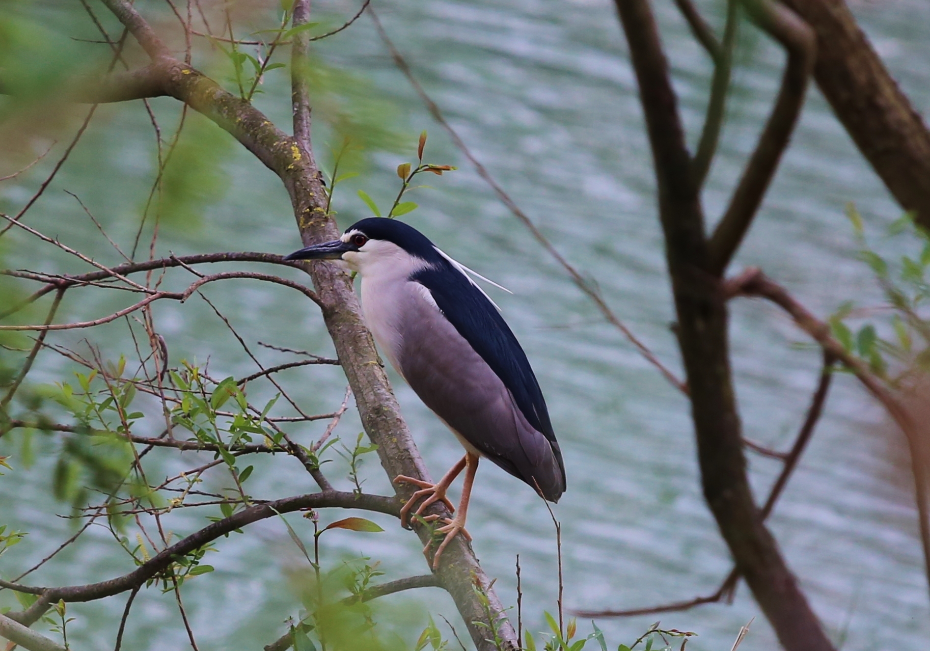 On the banks of the Marecchia