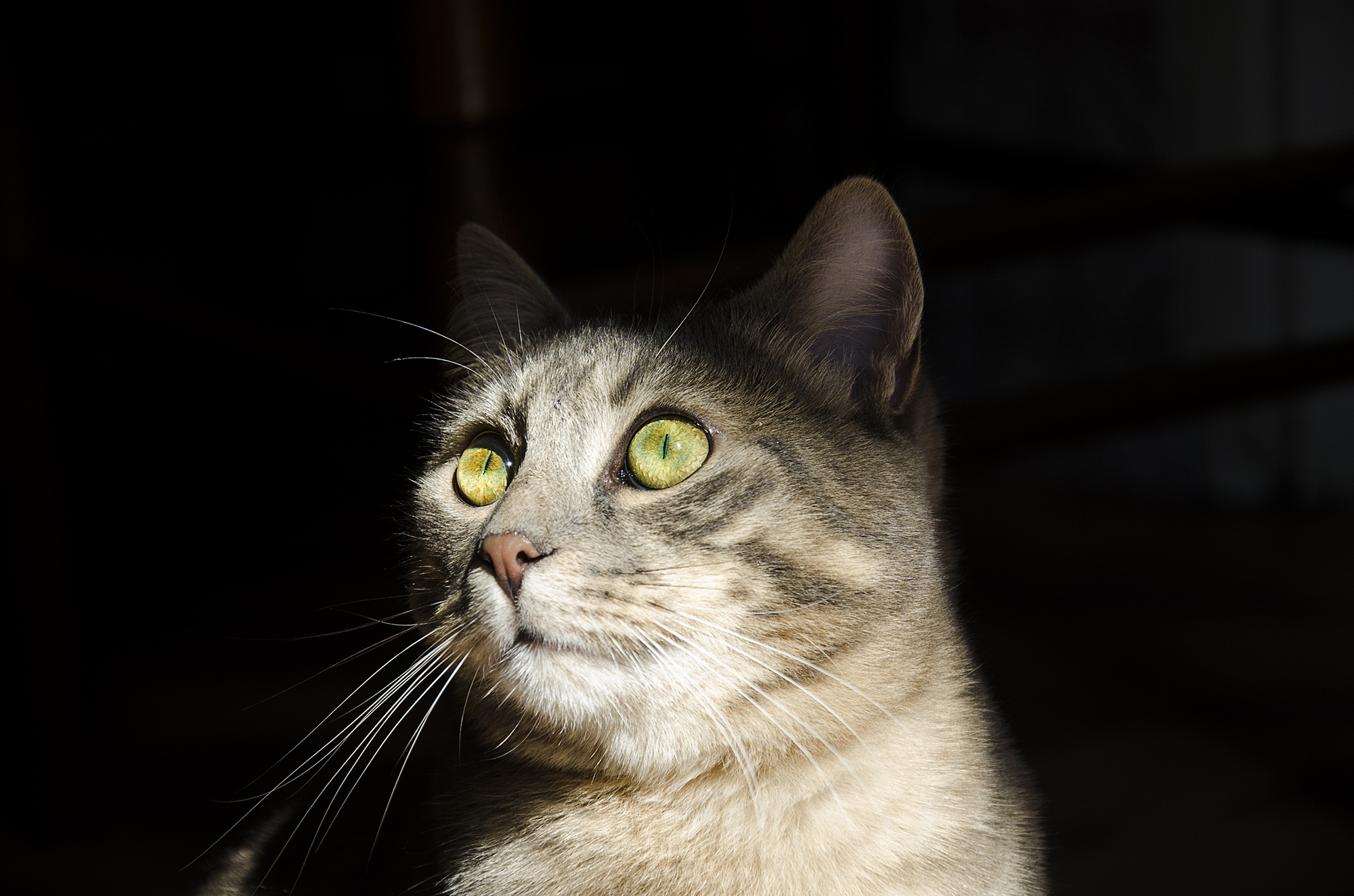 The sun kisses ... fat!