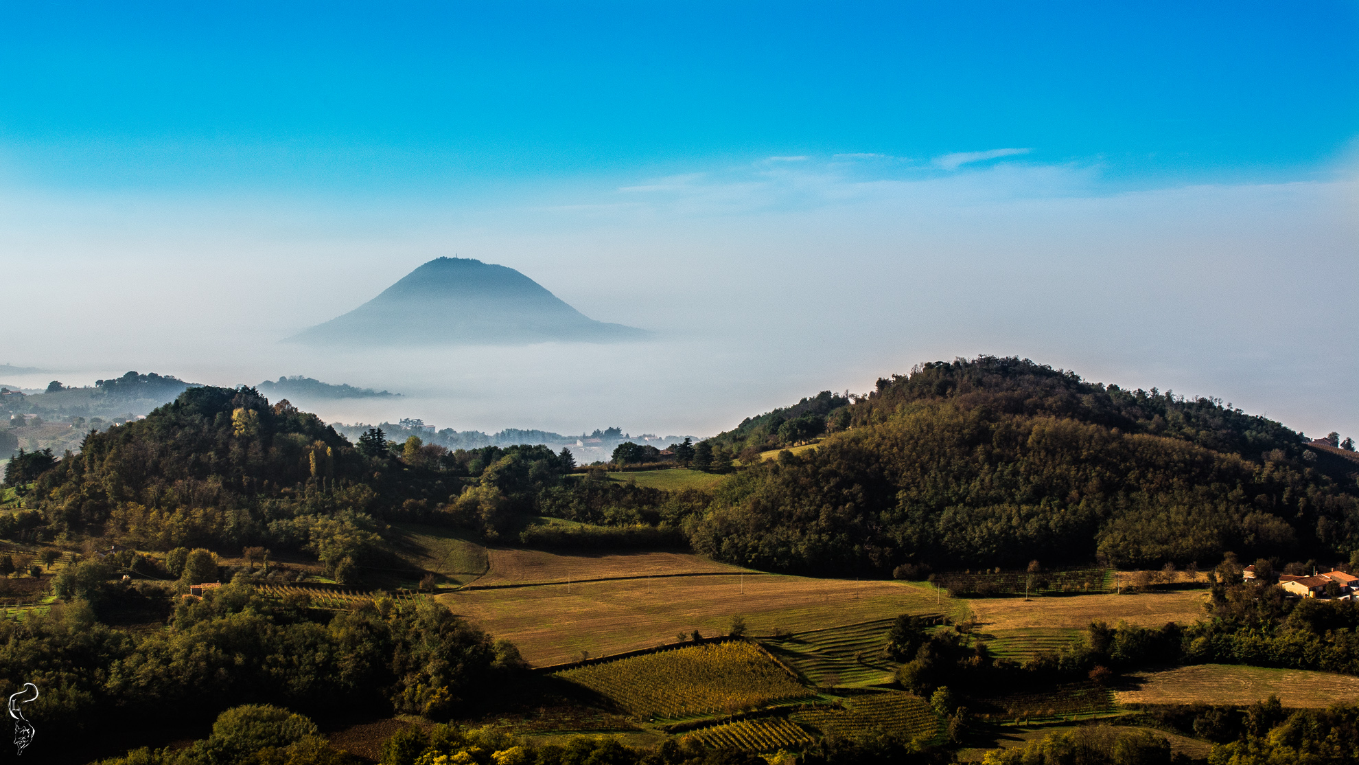 Monte Lozzo (Colli Euganei)