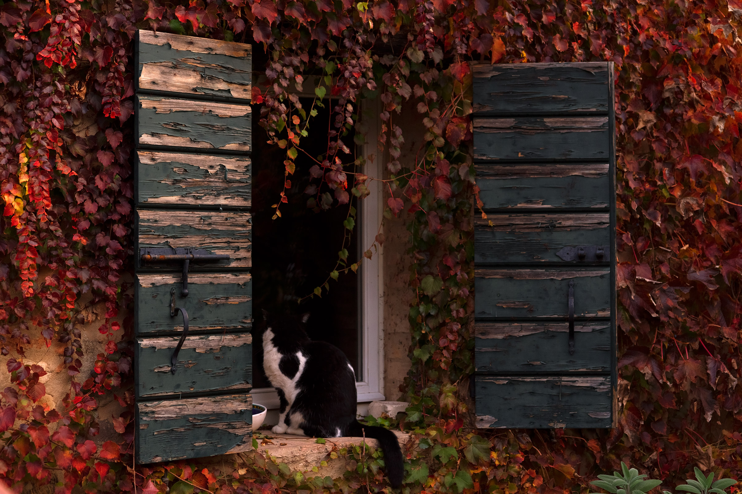 L'autunno è alle finestre