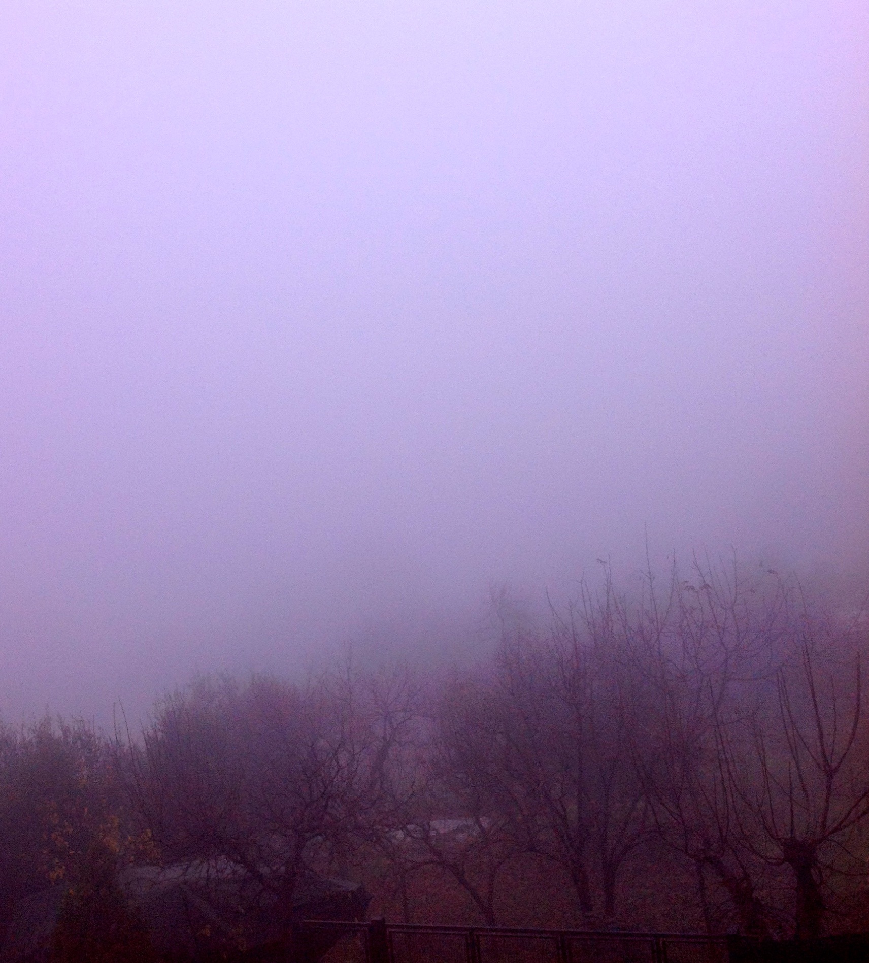 nebbia