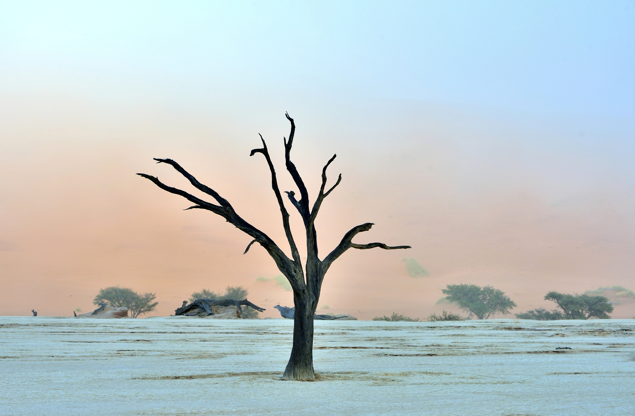 Deserto del Namib - Dadvlei