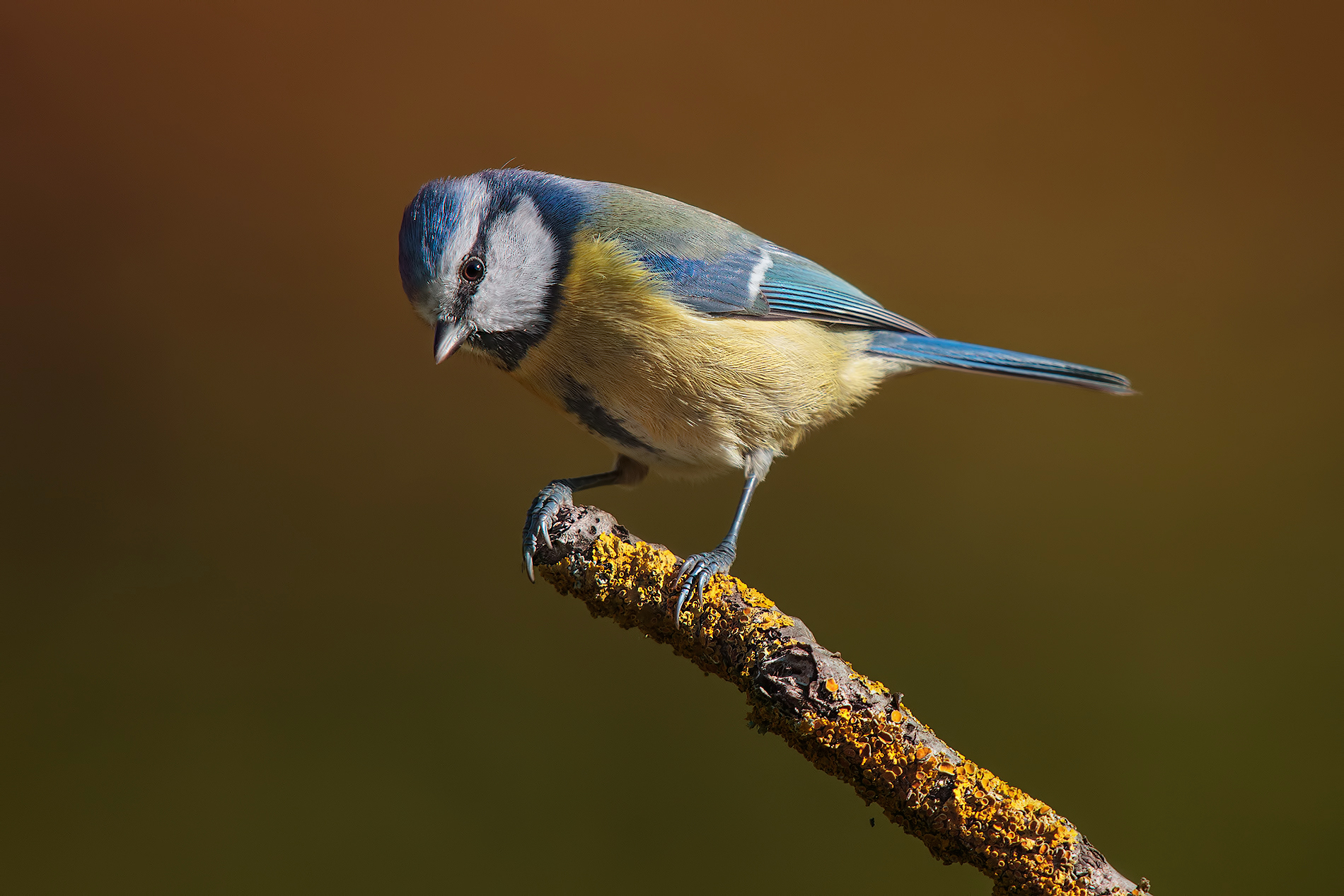 ... For now be satisfied of tits ..!