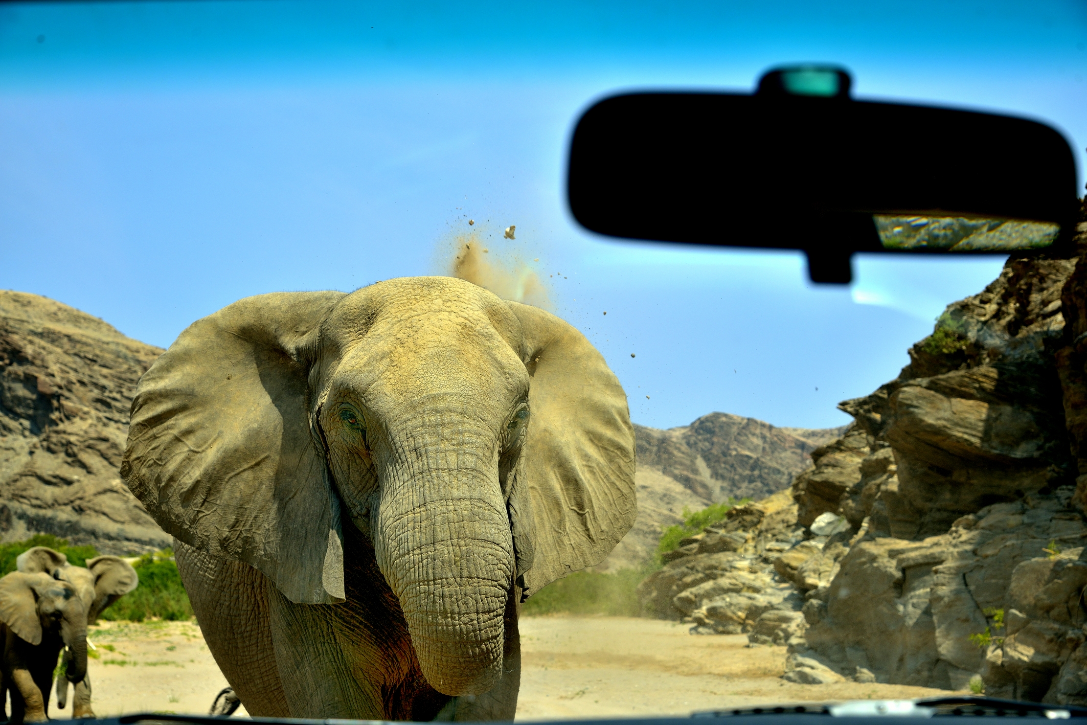 Deserto del Kaokoland - Indietro tutta!!!