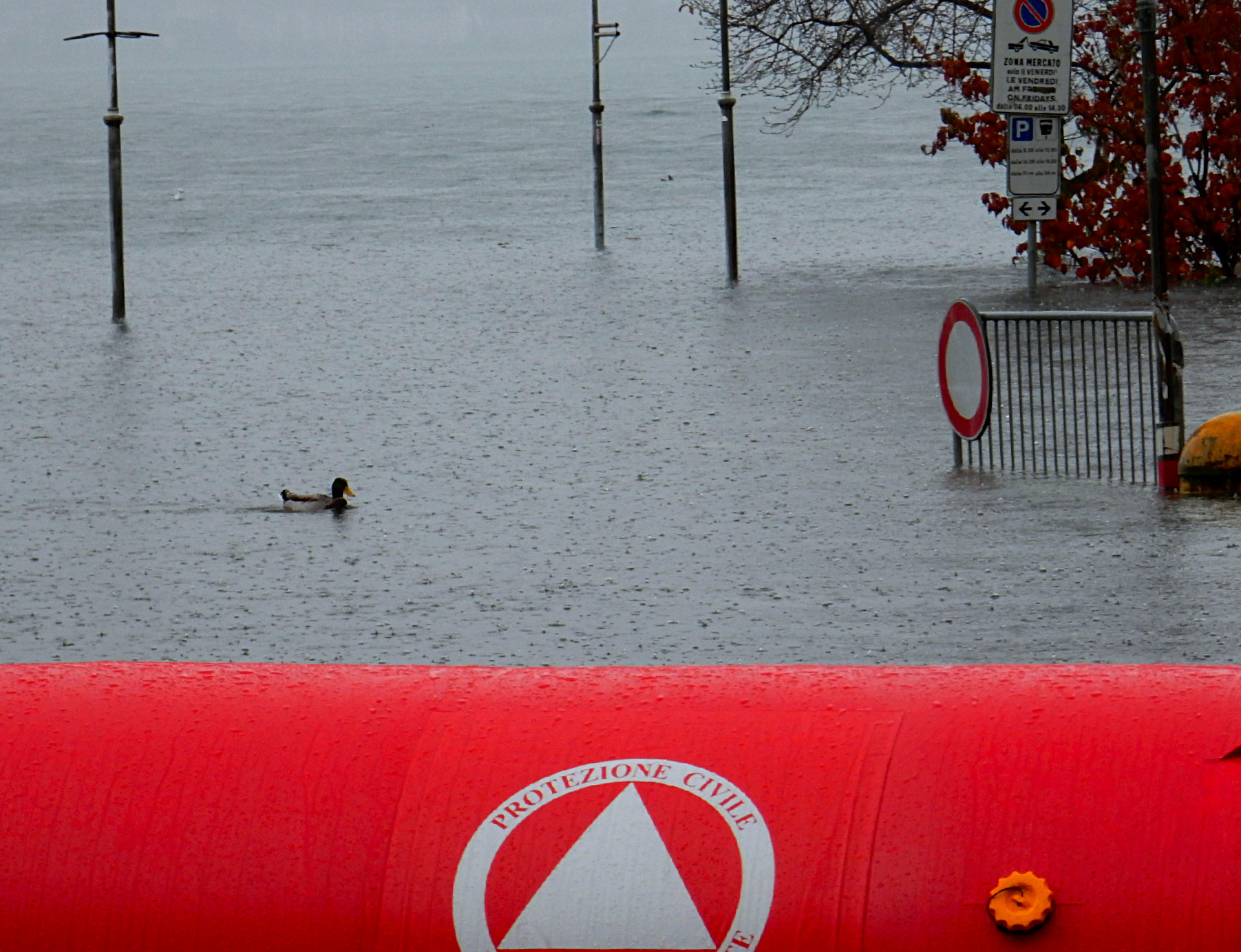 Sempre grazie ai volontari della protezione civile