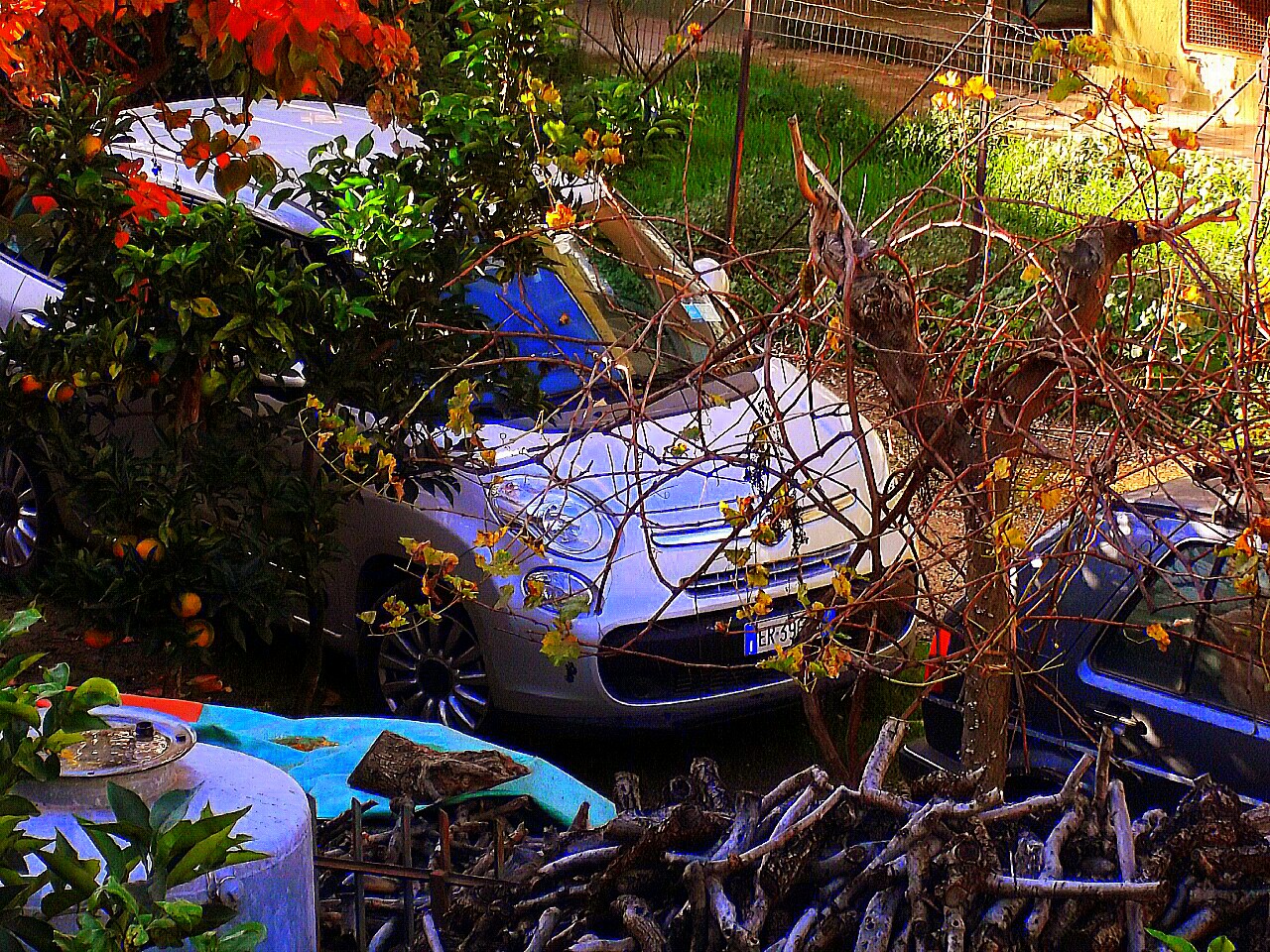 Colori autunnali e legna