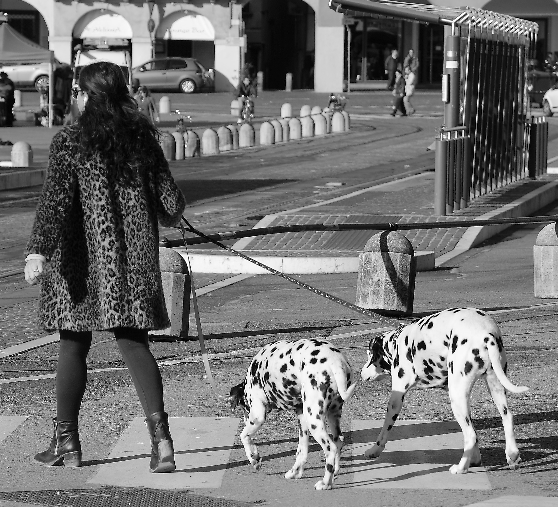 Prossimo anno cappotto a macchie bianche e nere?