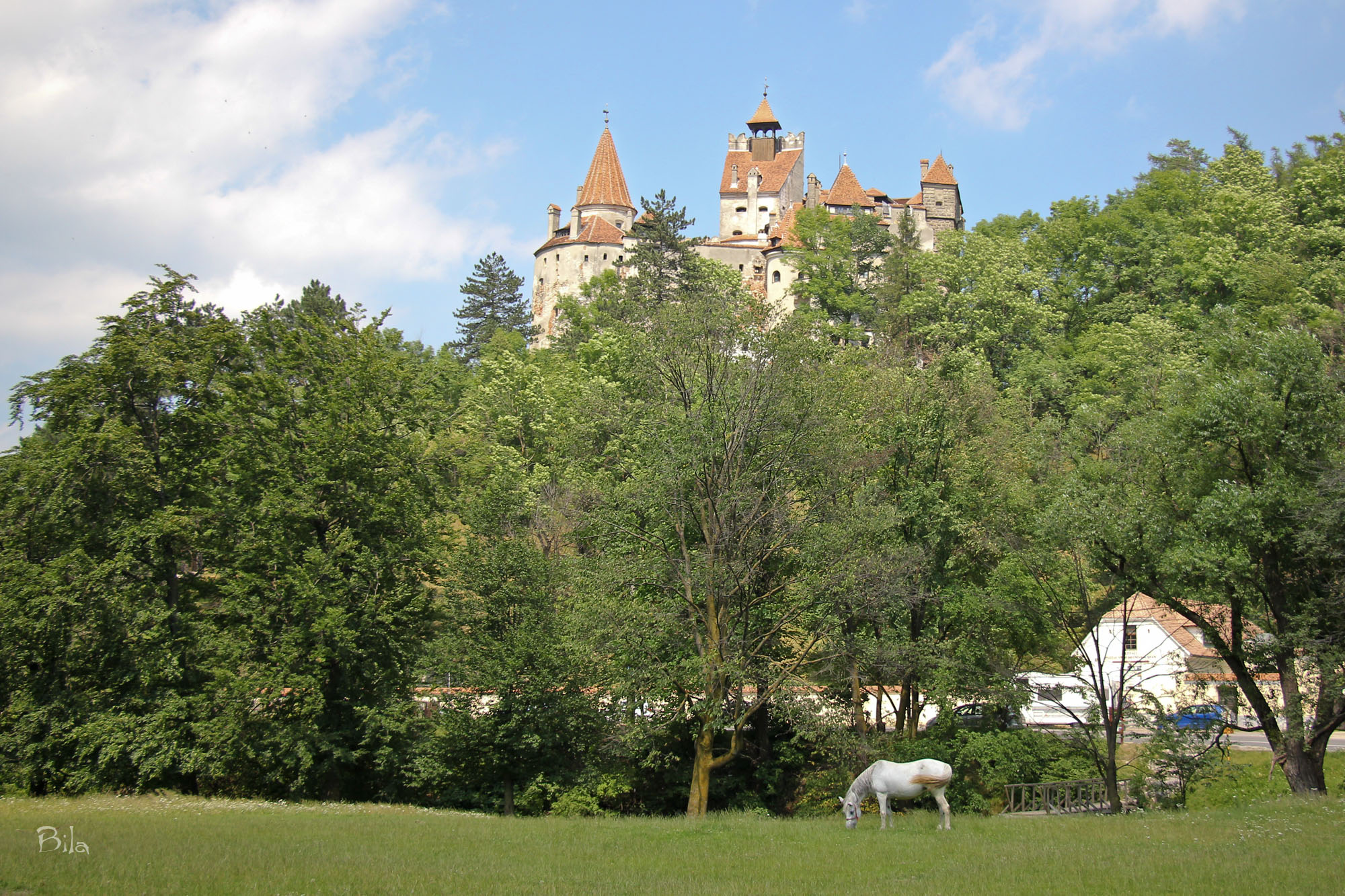 Dracula's Castle (Bran Castle)