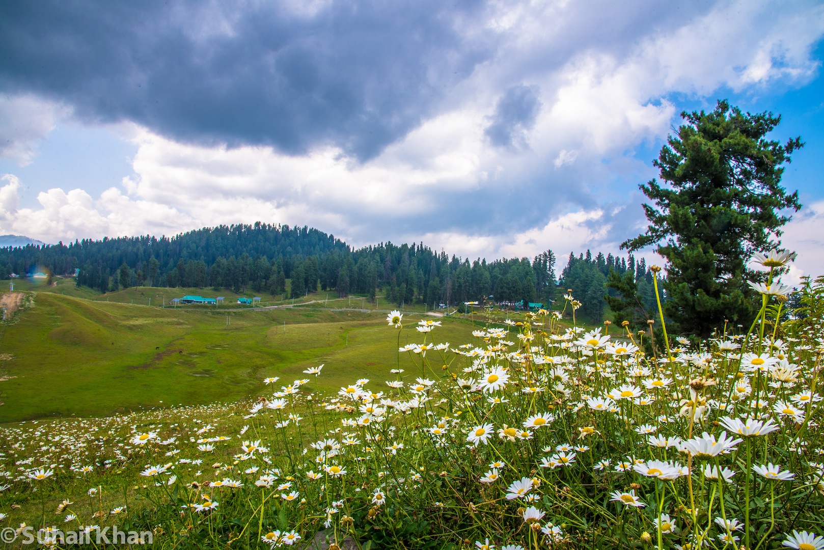 Gulmarg, Kashmir, India.