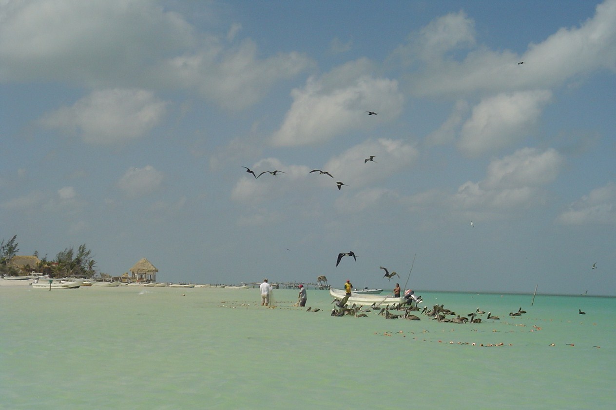 isola di Holbox   Messico