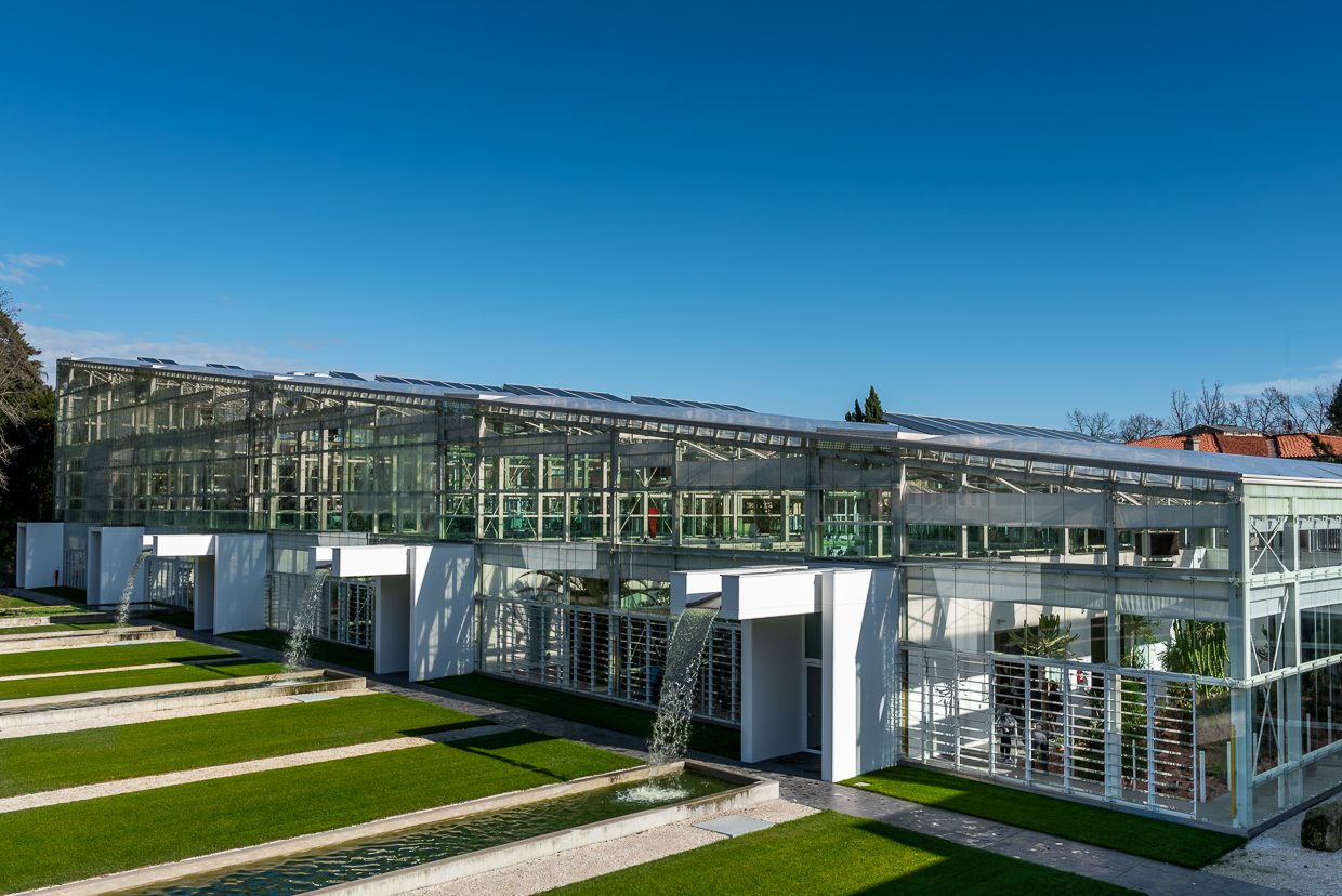 Orto botanico di Padova