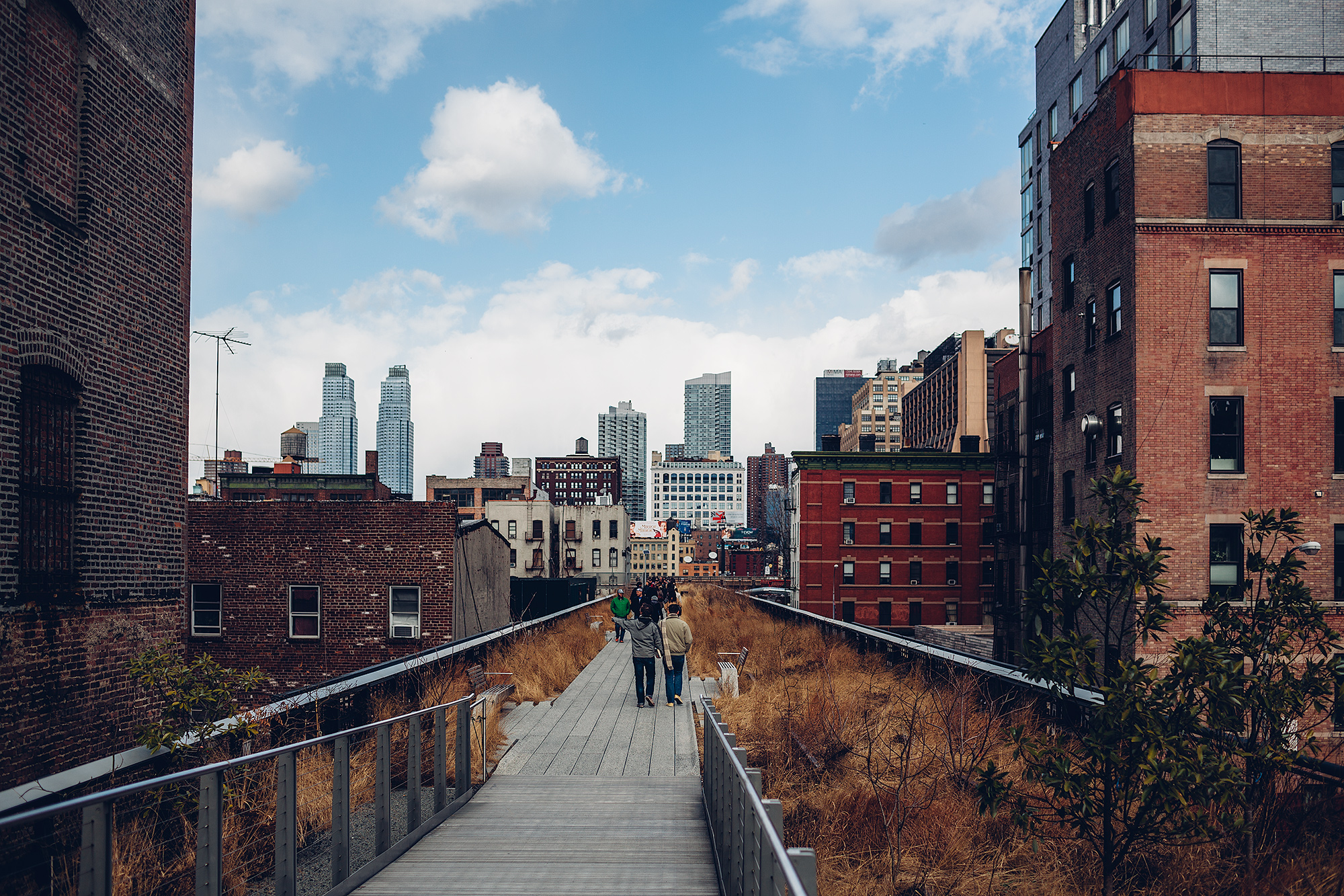 Passeggiata sulla High Line - NYC