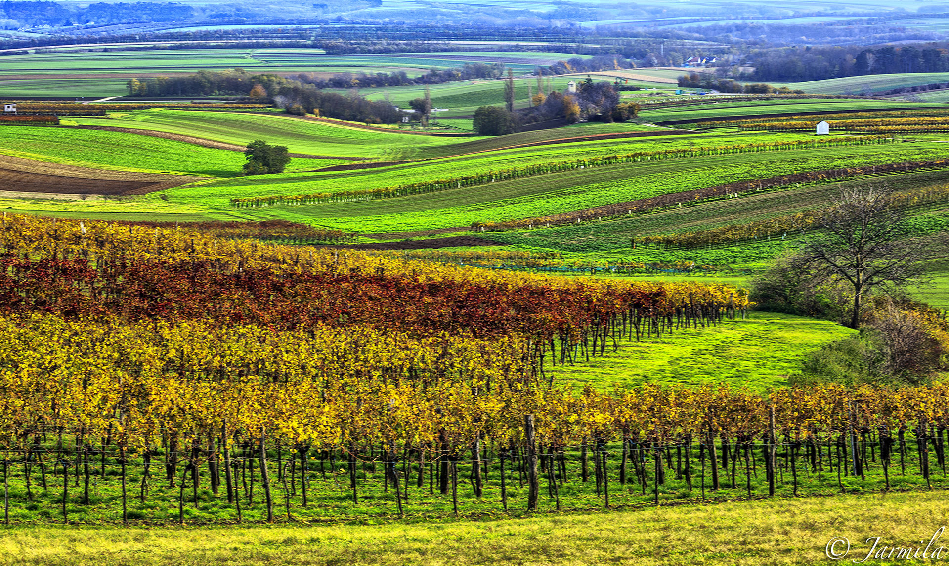 Between the hills and plains of Austria