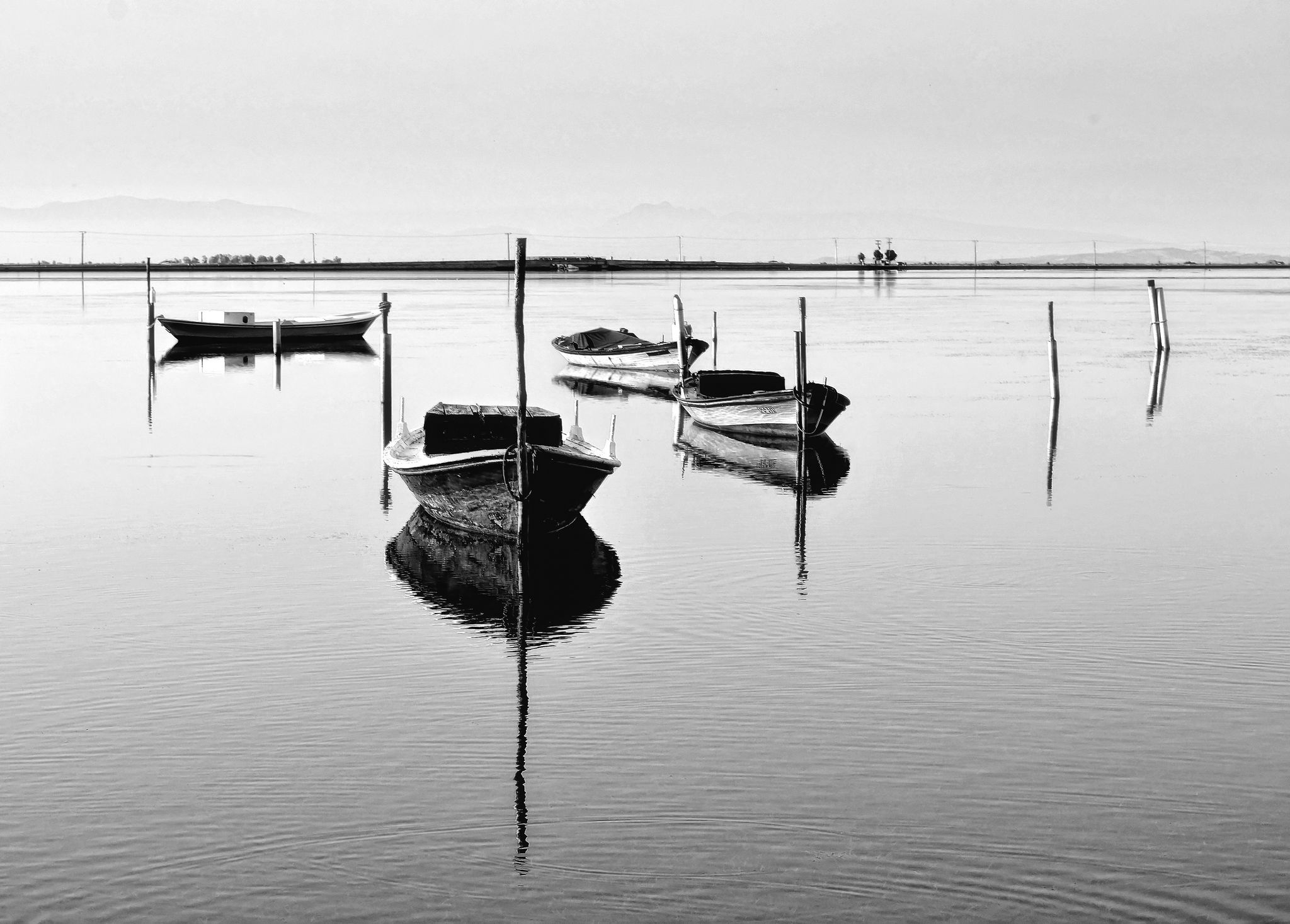 Lines, Shapes and Forms