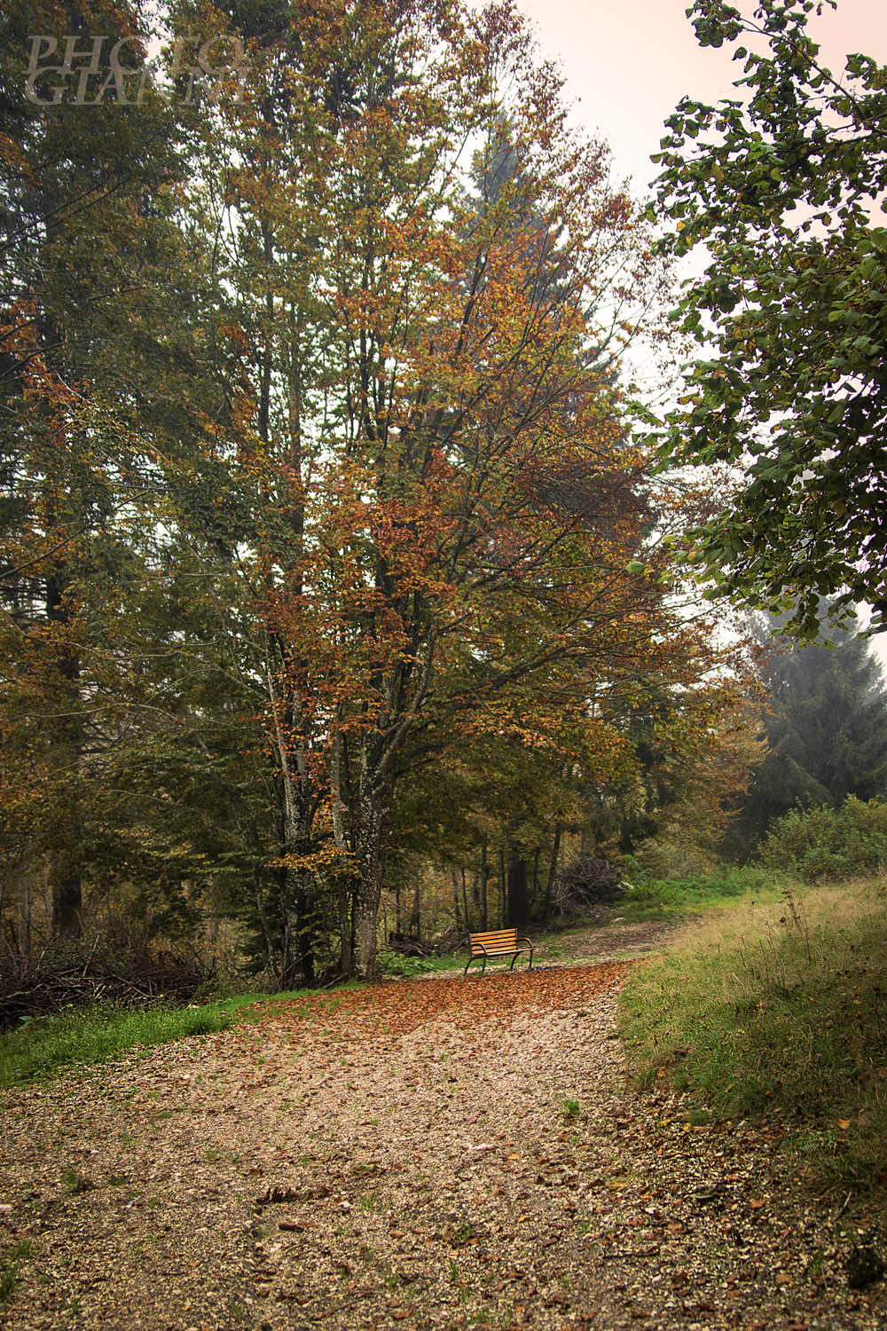 percorso ..alternativo..