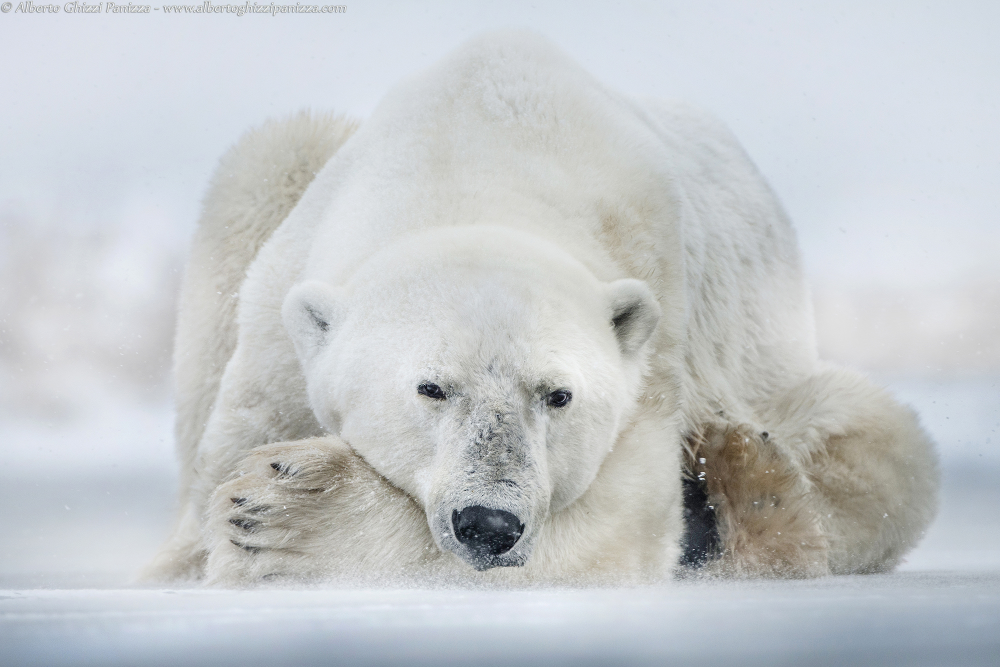 Uno sguardo nella bufera
