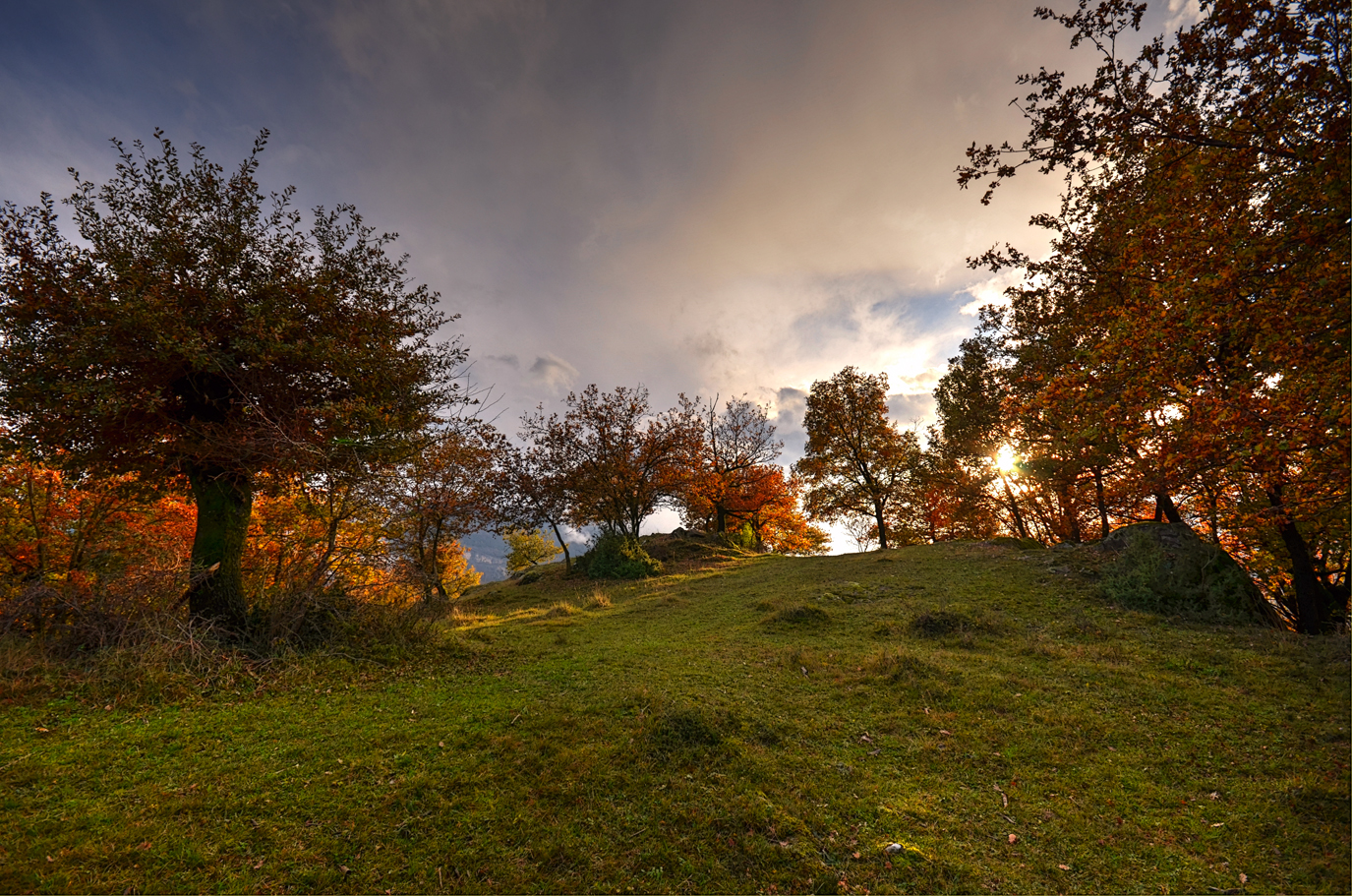 autumn and its colori_3