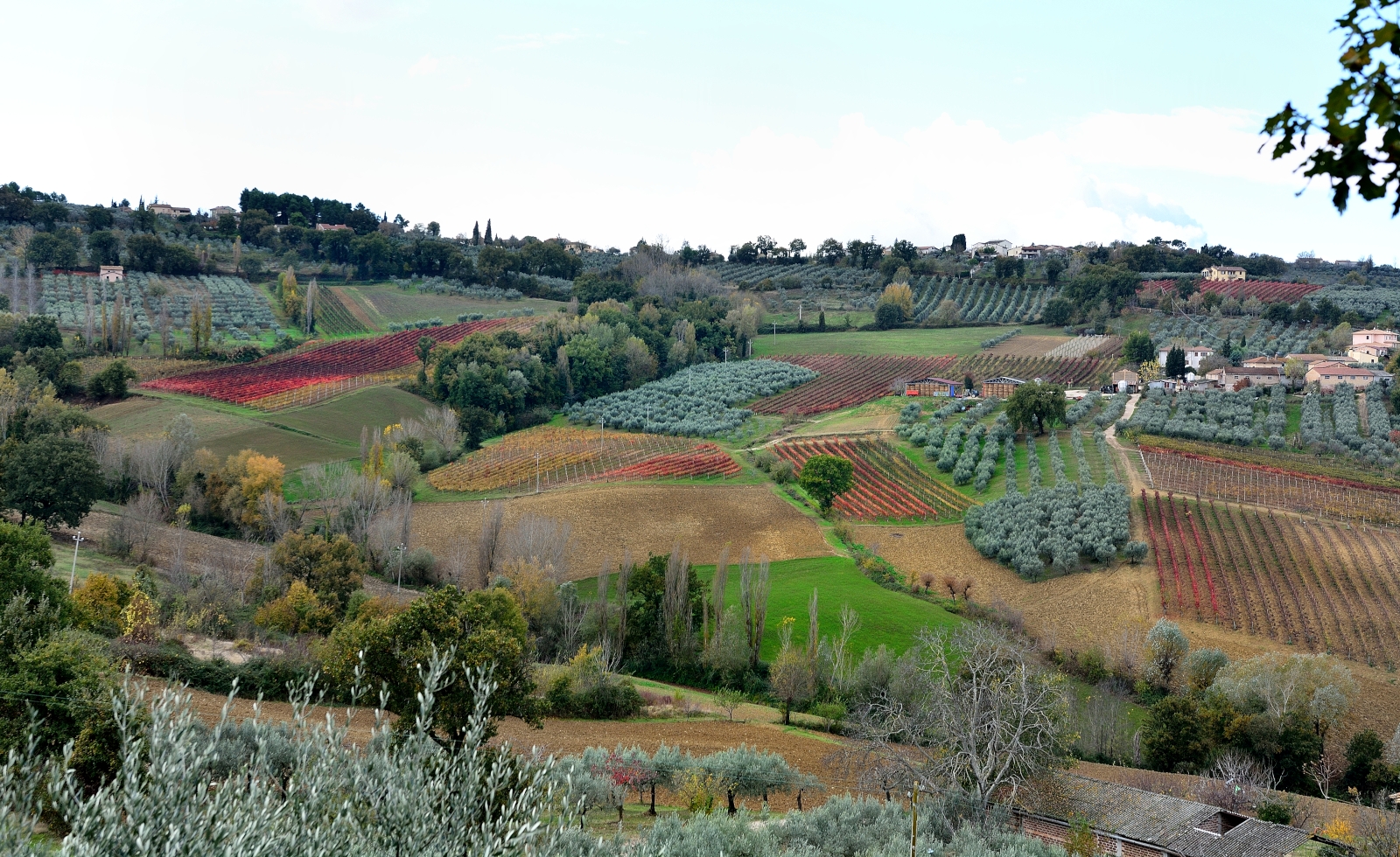 Umbrian landscape of November 2