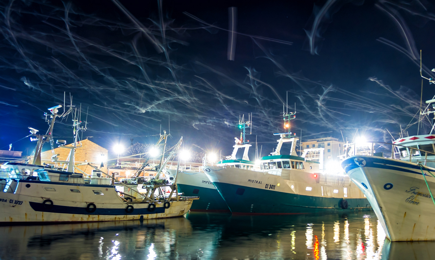 Chioggia 4: Dance of the seagulls