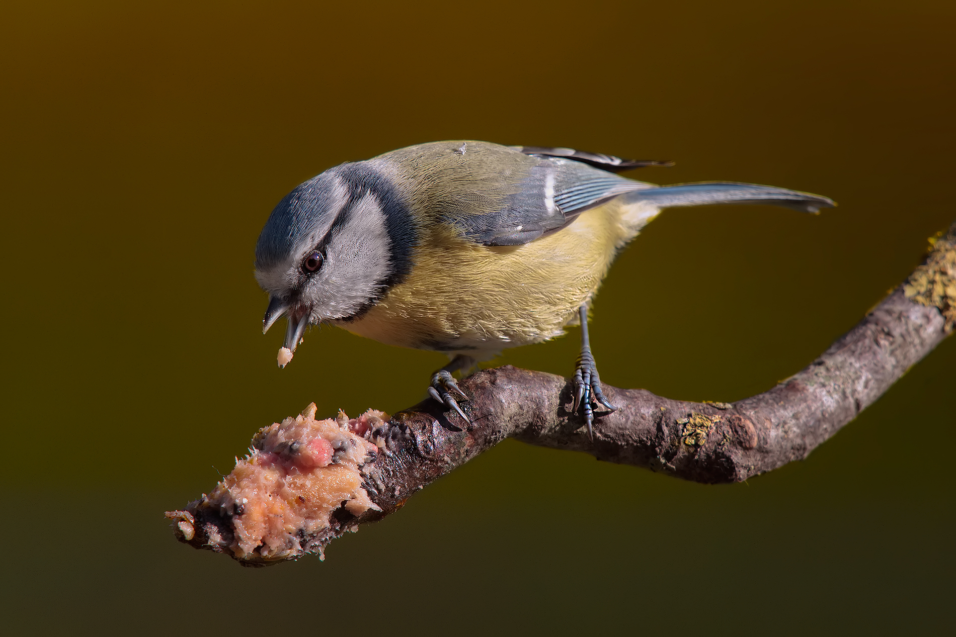 .... I think this is ok ..!