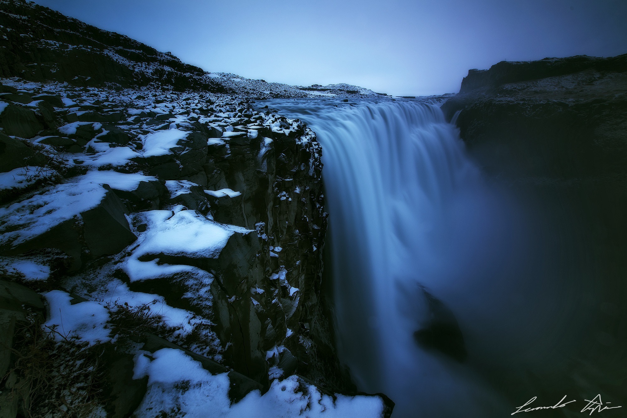 Where the Life Comes to Life